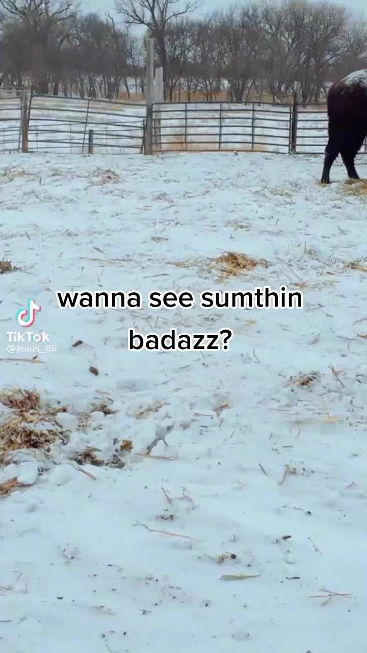 @FDZ4LIFE