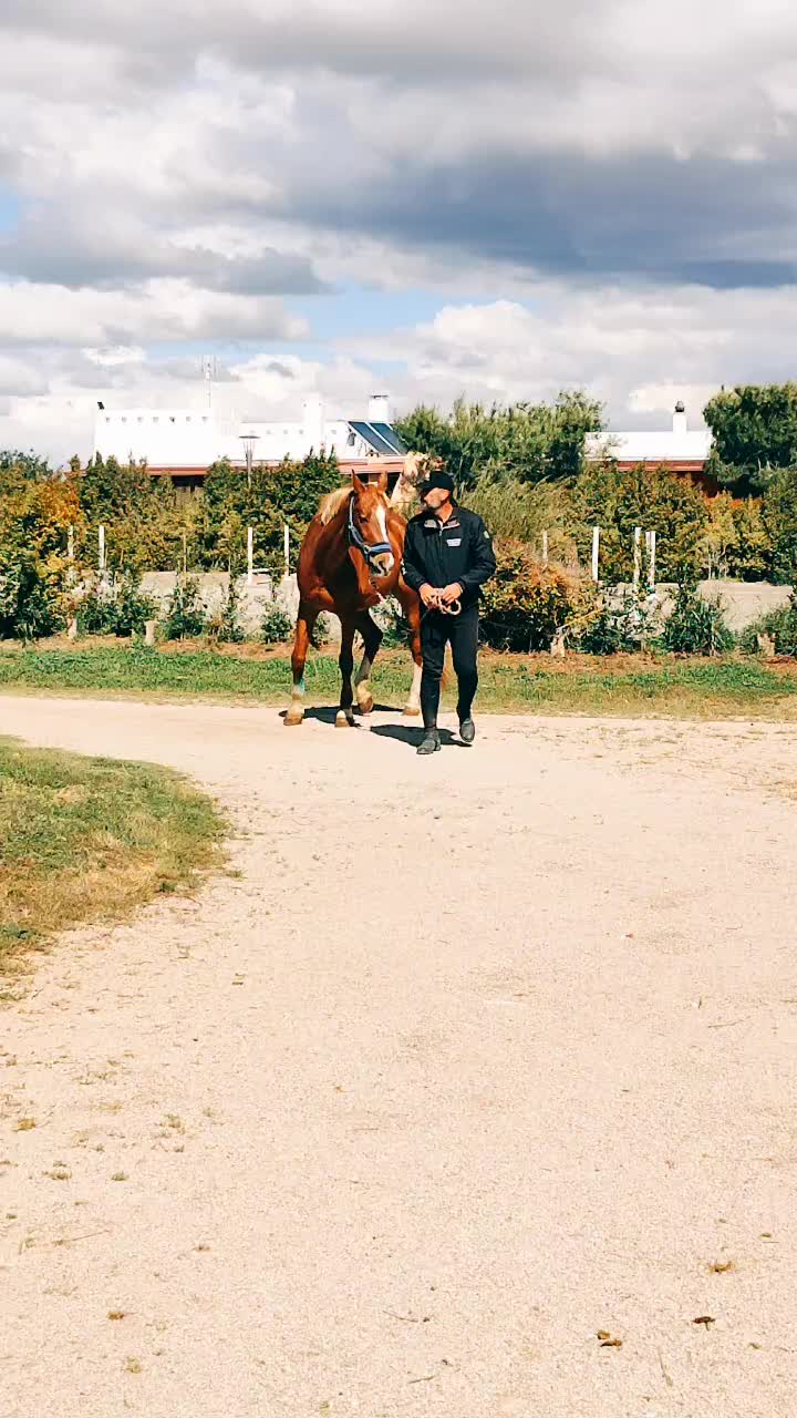 @GypsyHorse