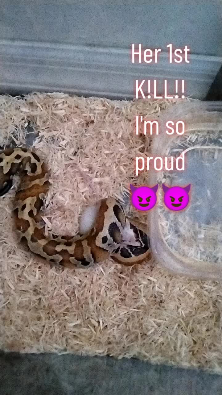 @demonmagick