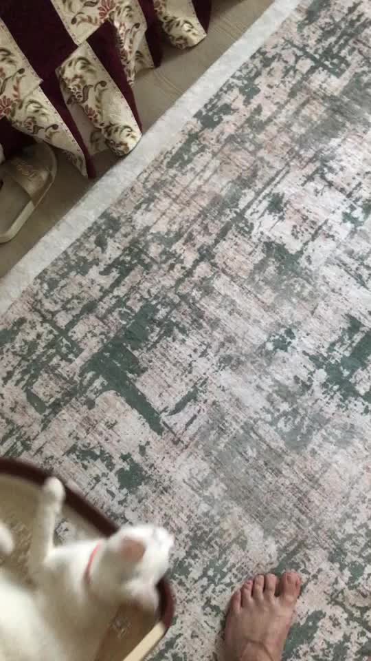 @komedya018