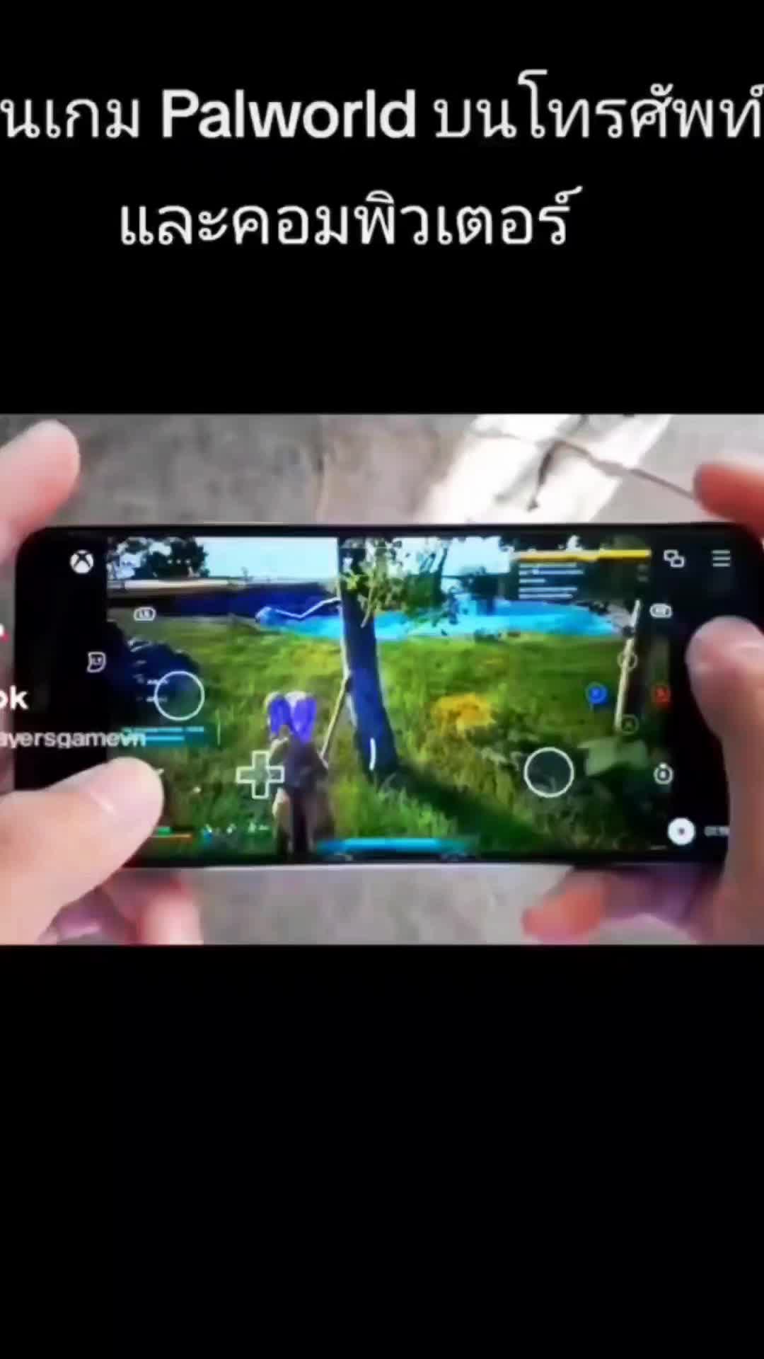 @palwordapk