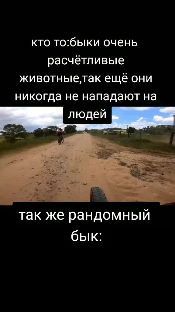 @Xeno