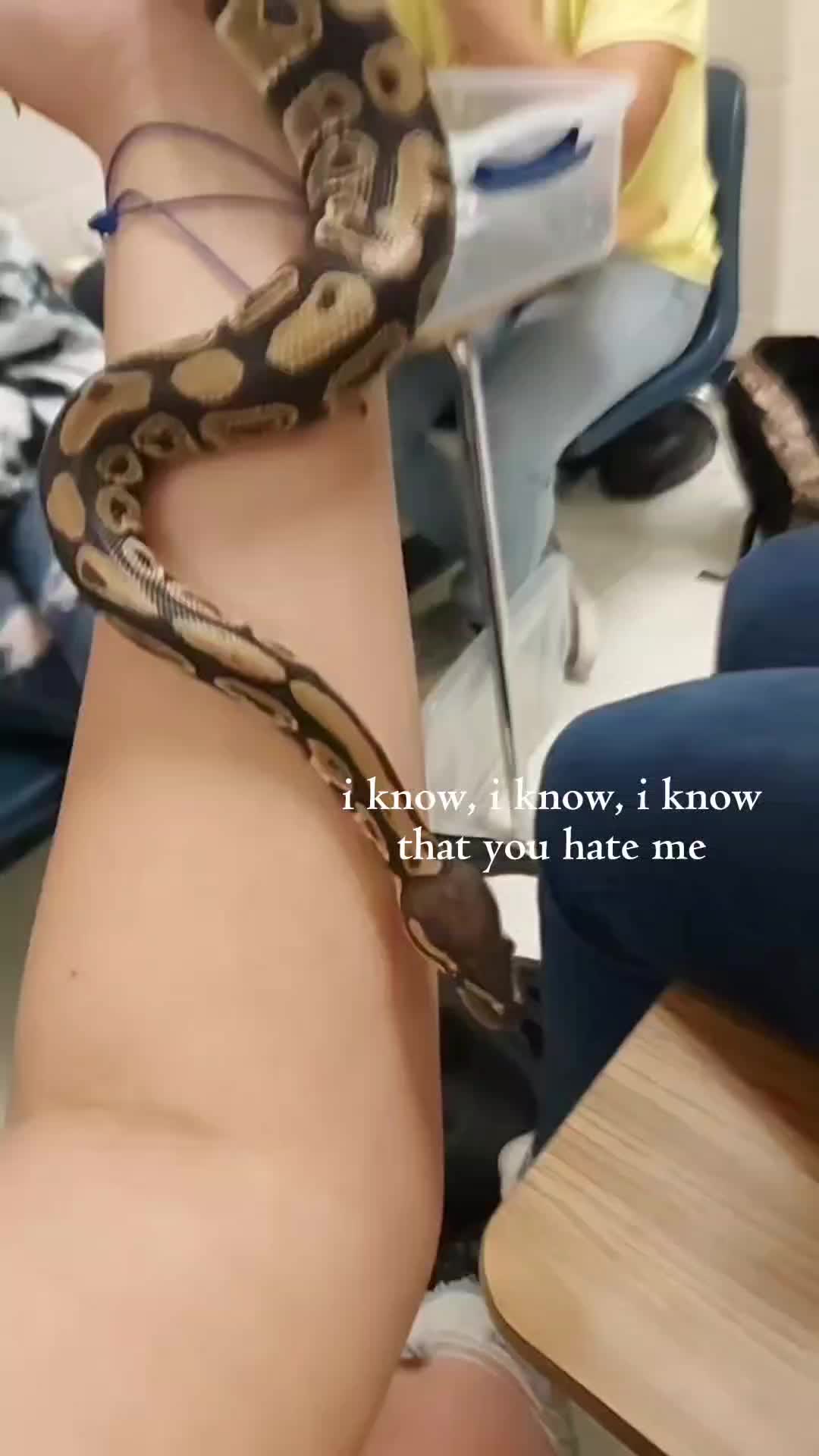 @Alex
