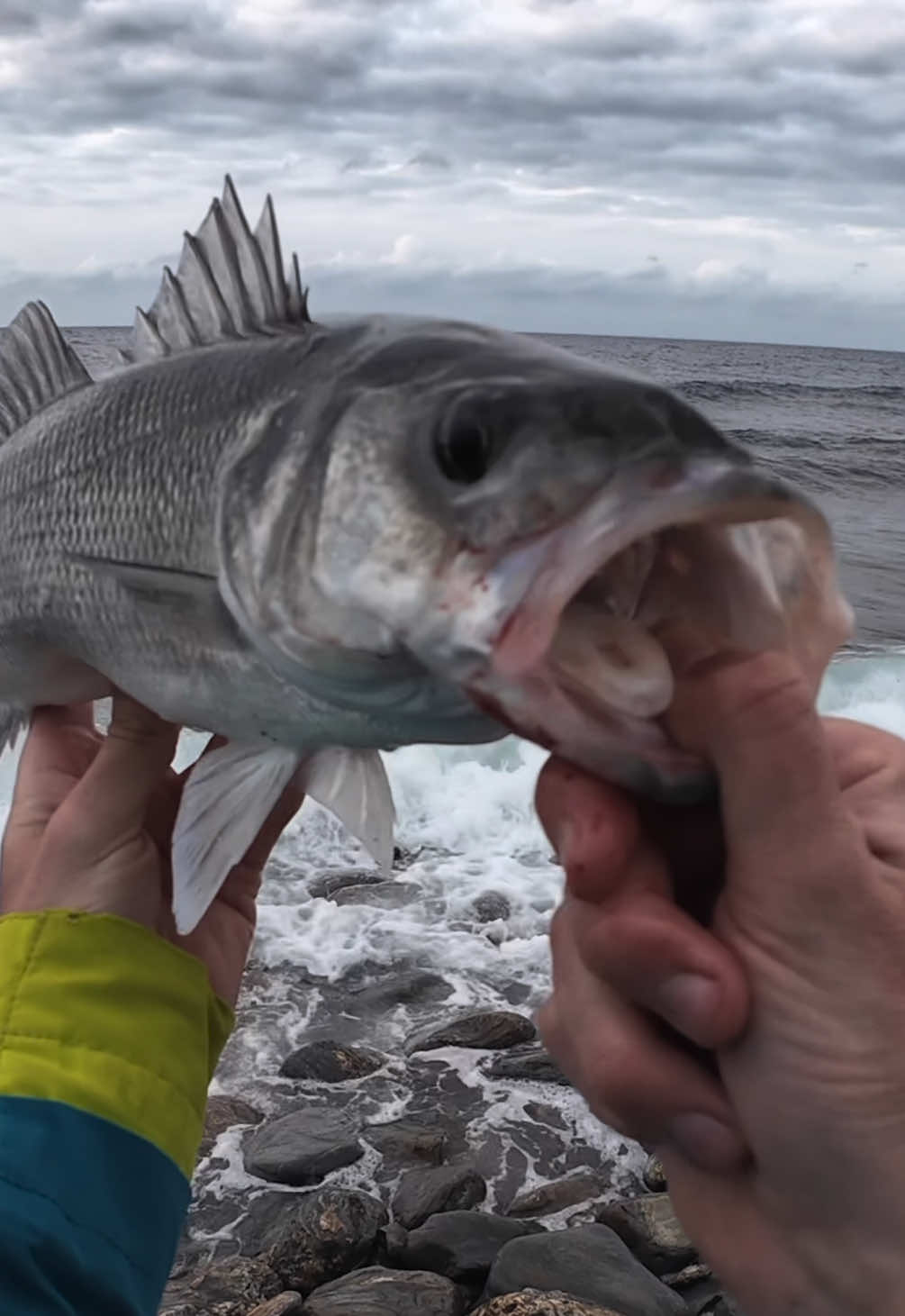 @GRXfishing