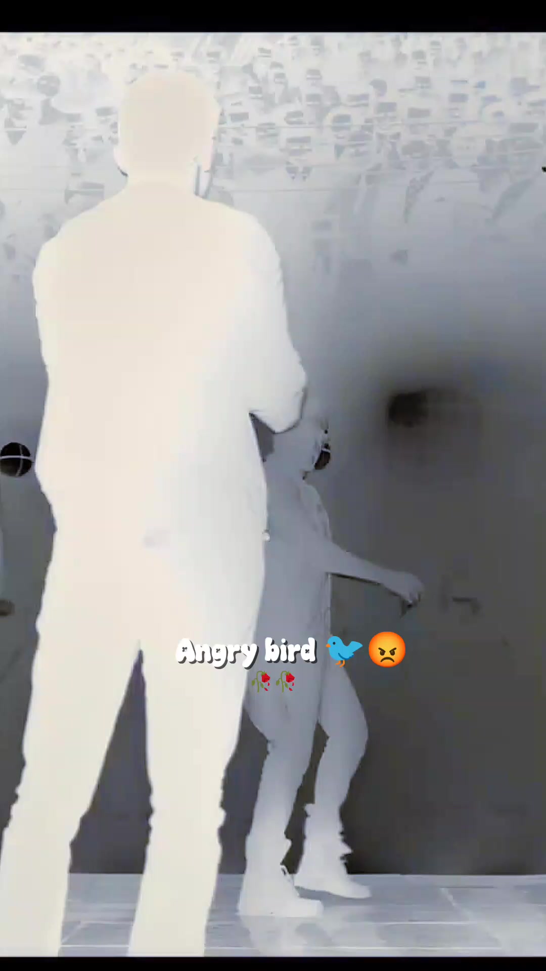 @💫𝖆𝖓𝖌𝖗𝖞 𝖇𝖎𝖗𝖉𝖘💫💥