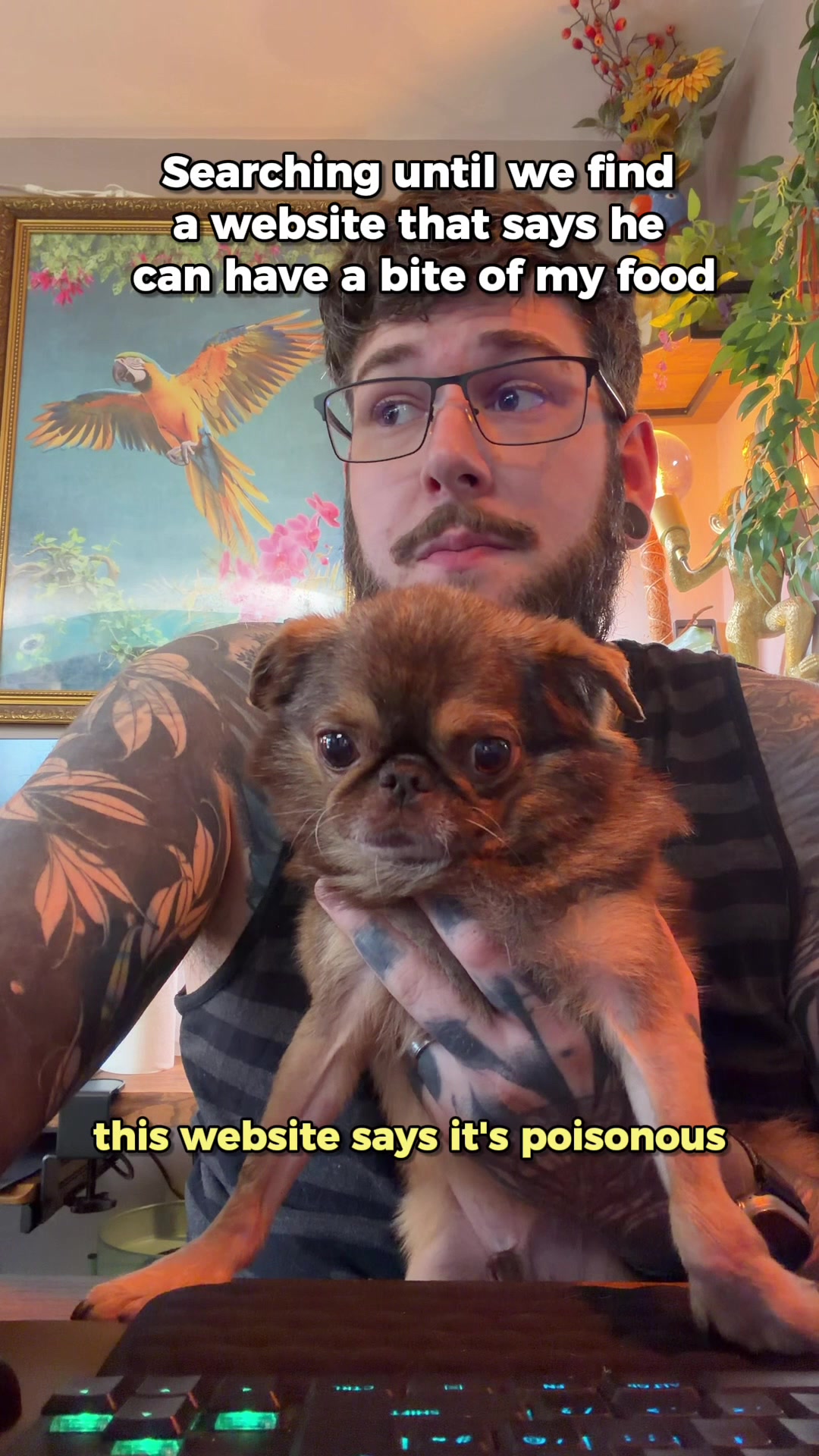 @ChilliThePug