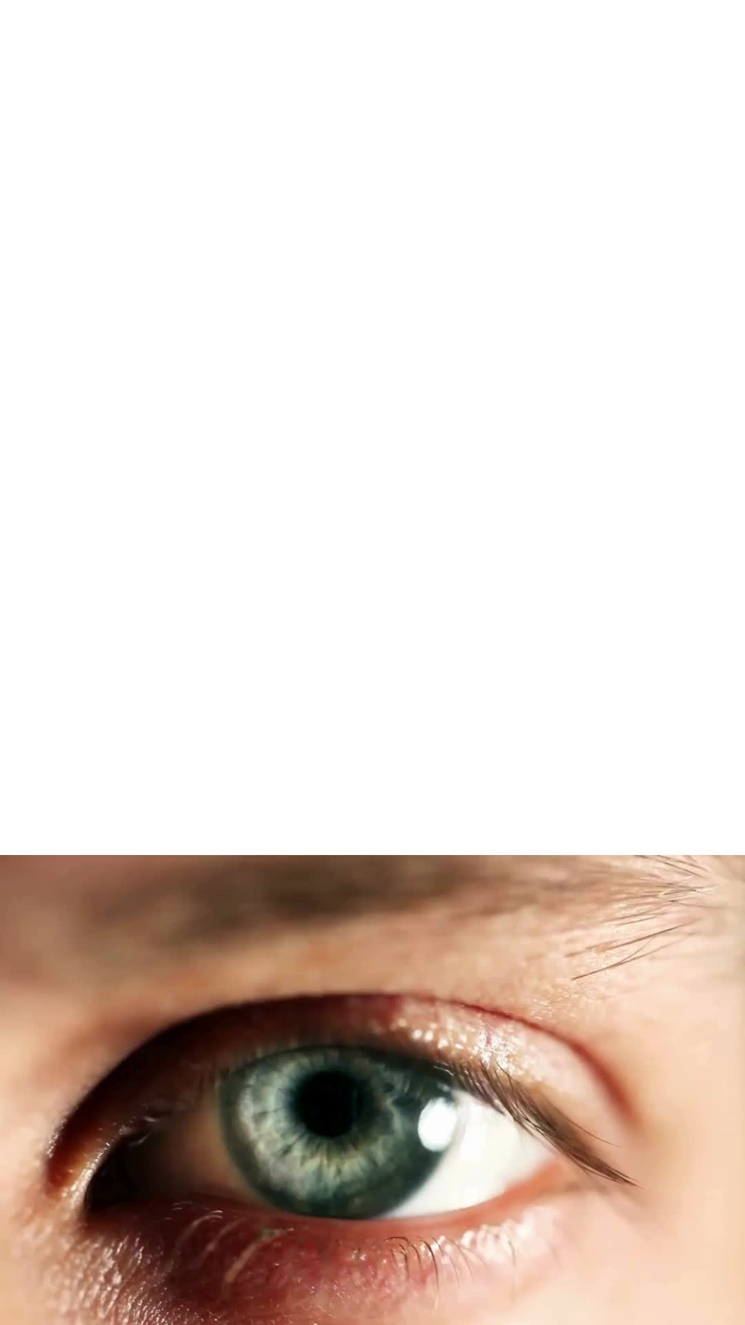 @bodylanguagechris