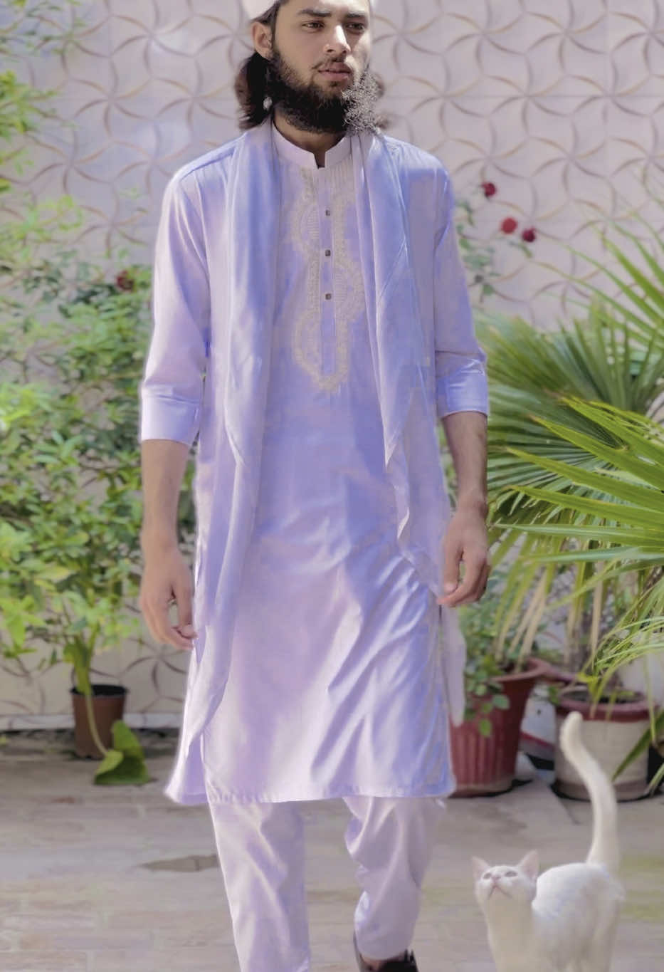 @Malik Faizan 617