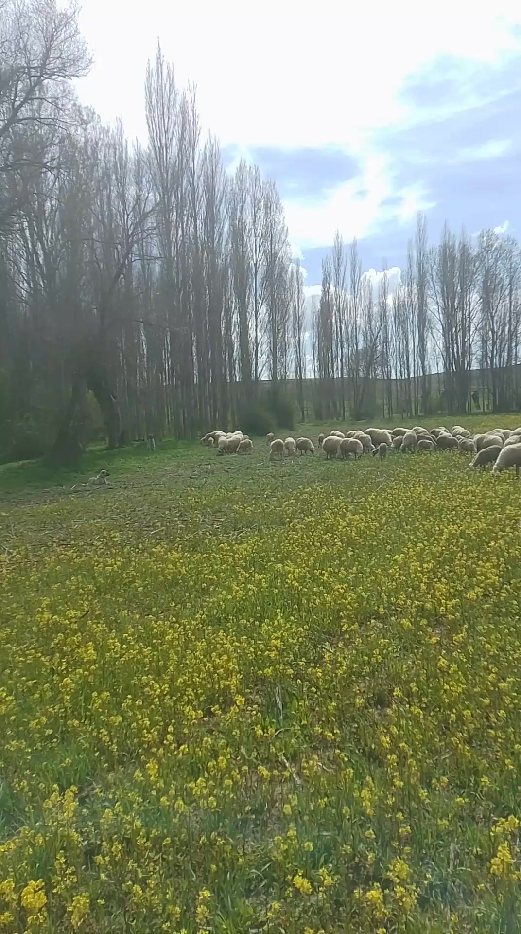@kadir akduman03