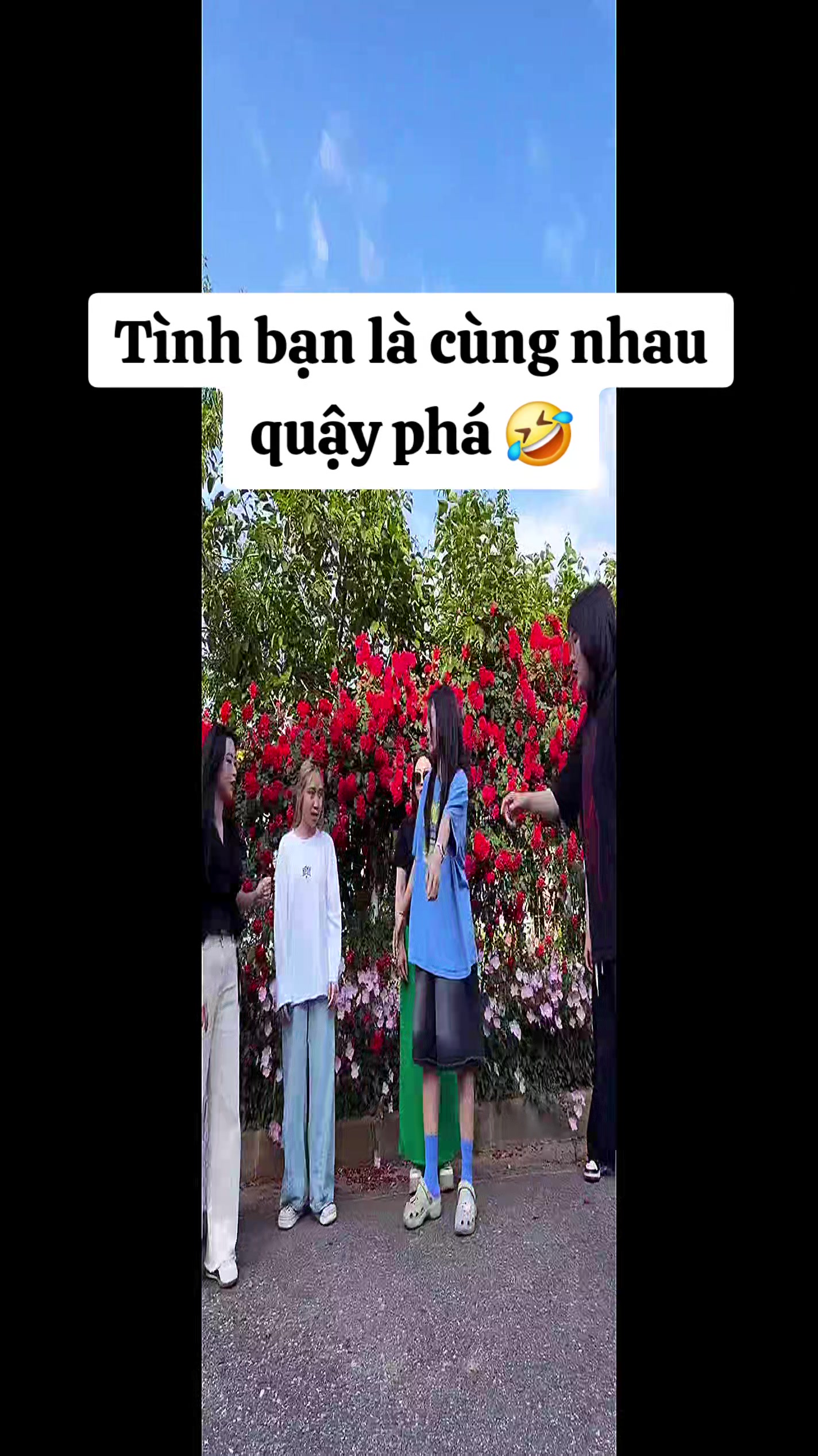 @vu thi tuong (ceohanmeryeo)