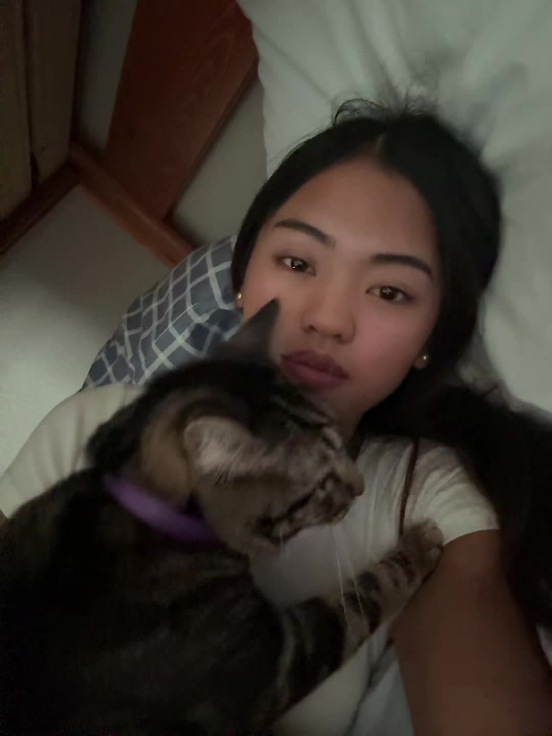 @ahsmellycat
