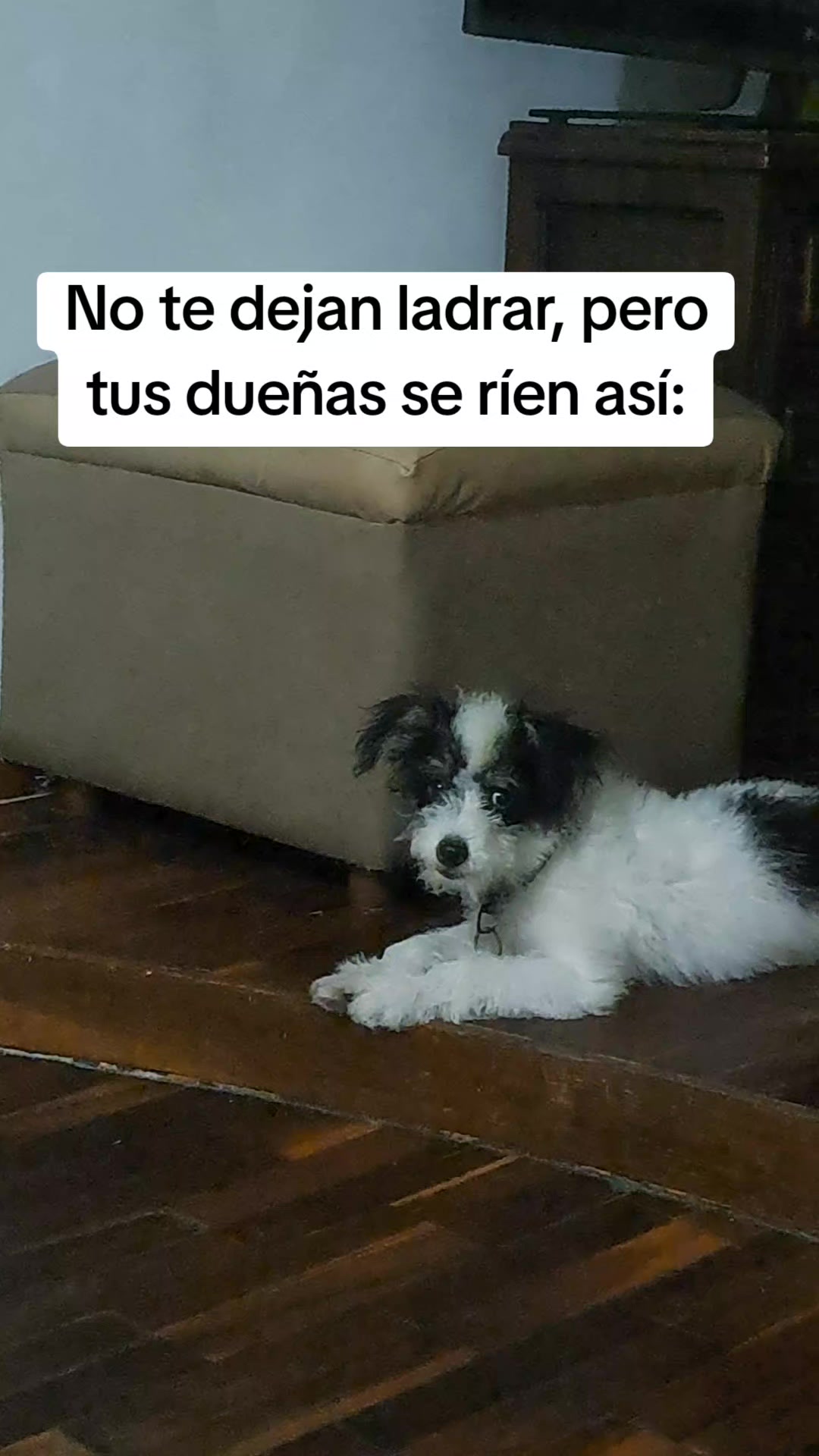 @Geraldine Sanchez