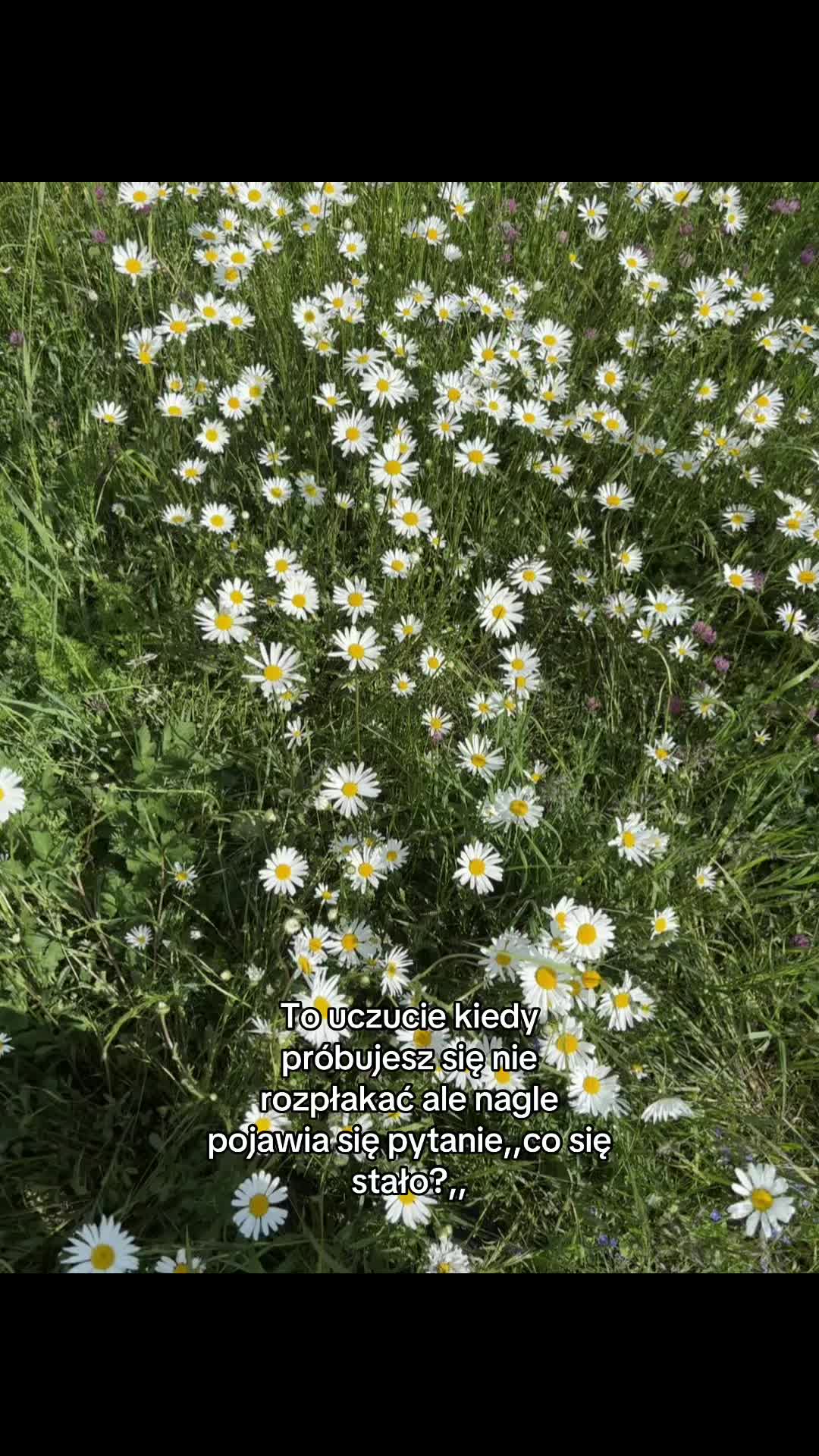 @Reposty