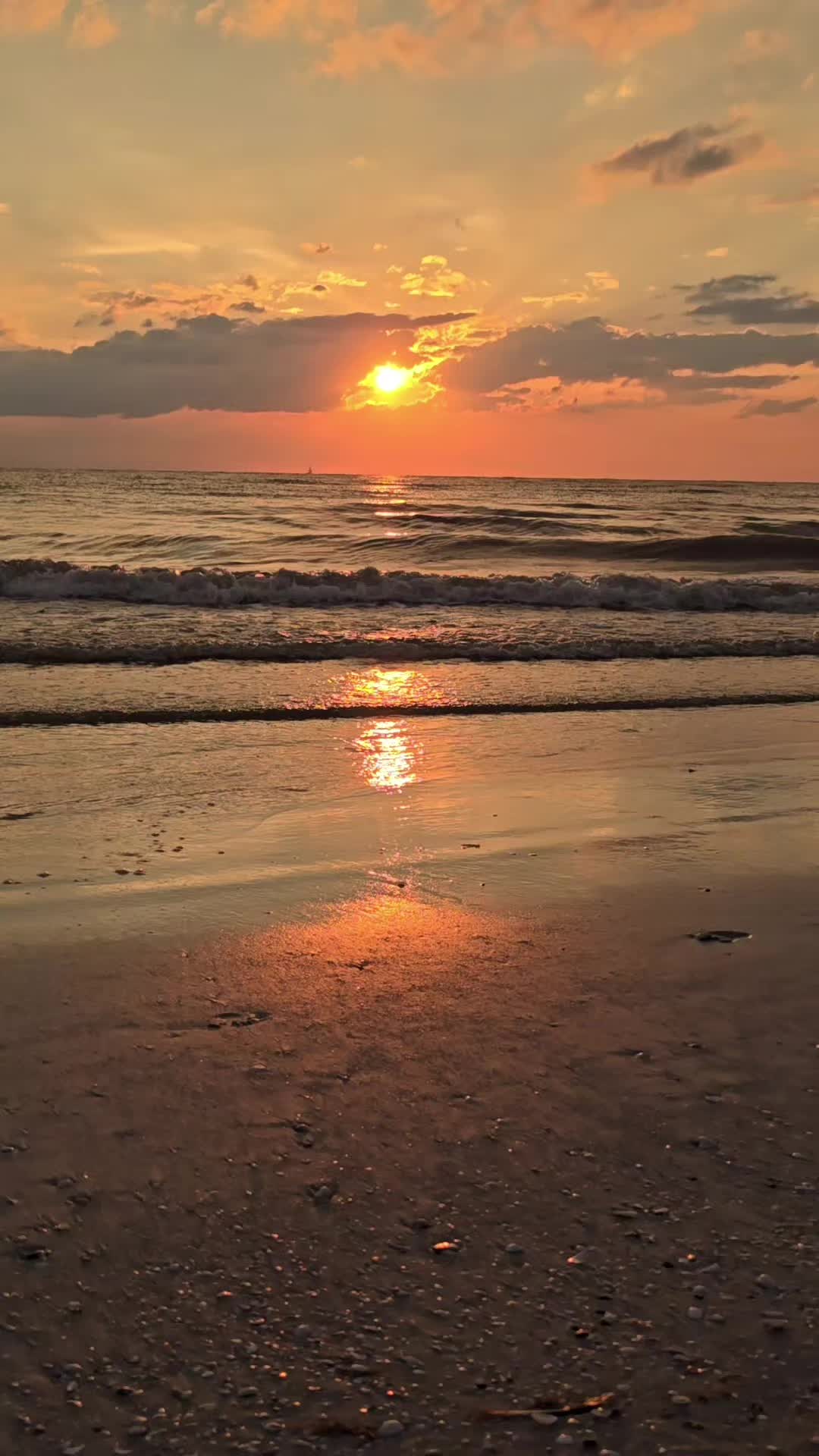 @warrior77