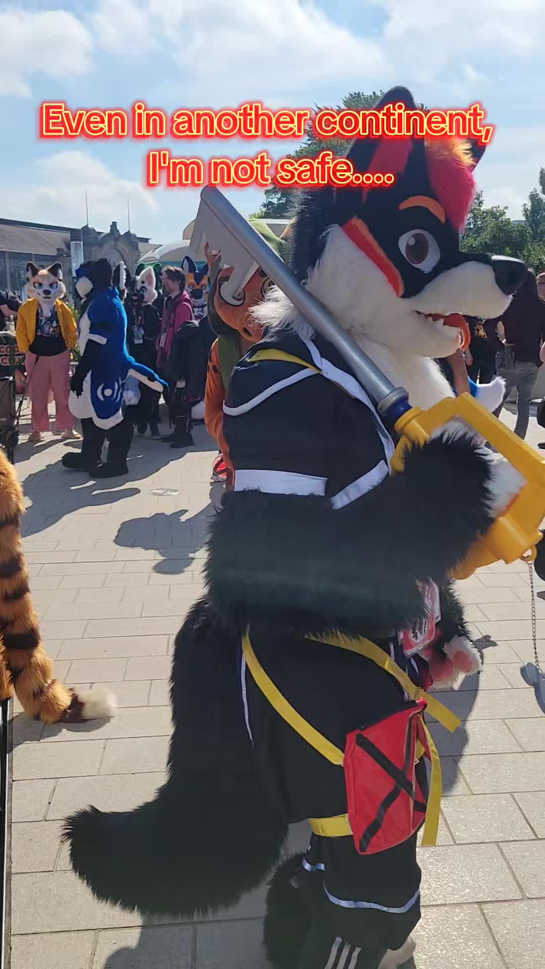 @Luco Foxxo