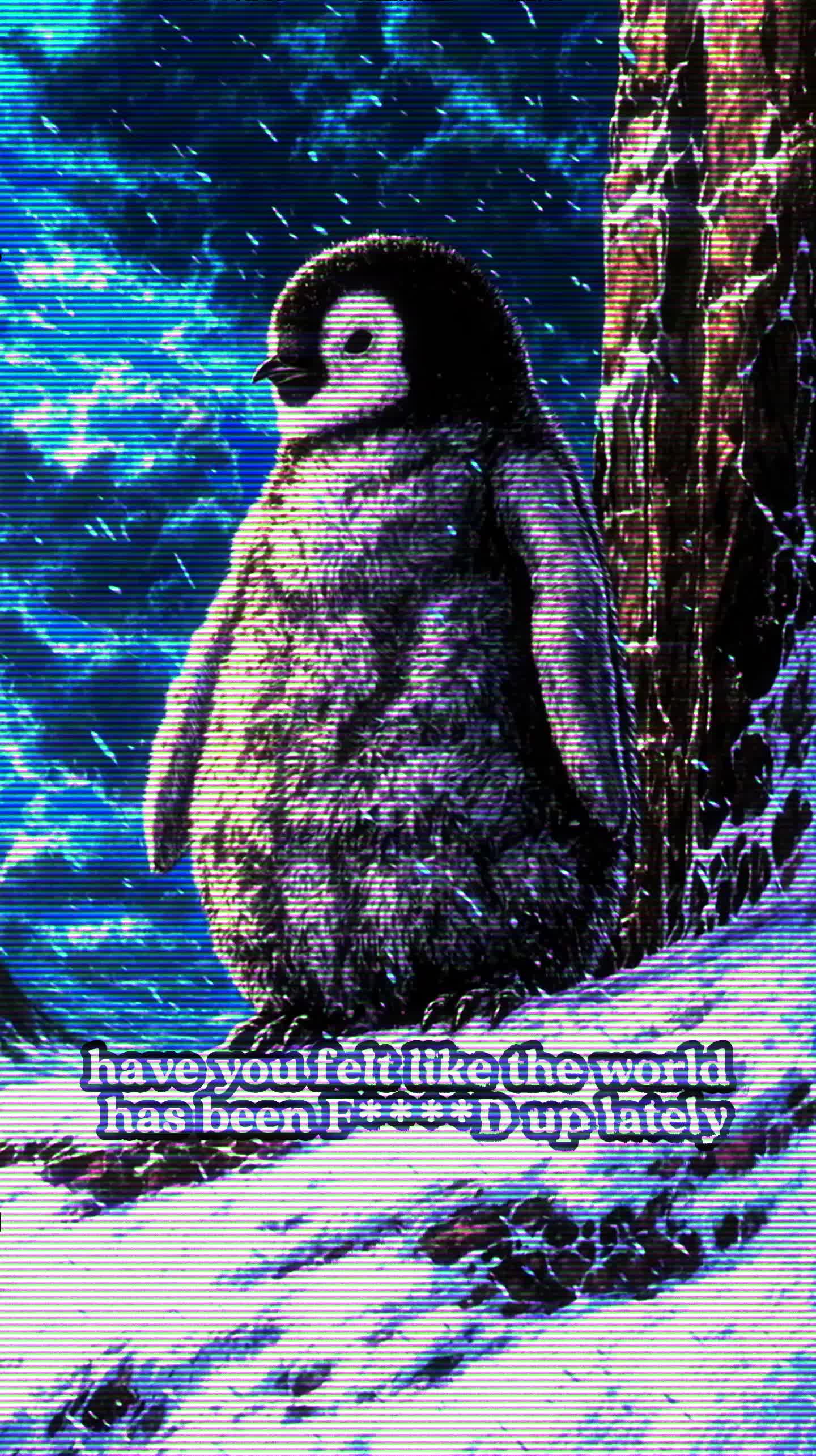 @The Holy Fool