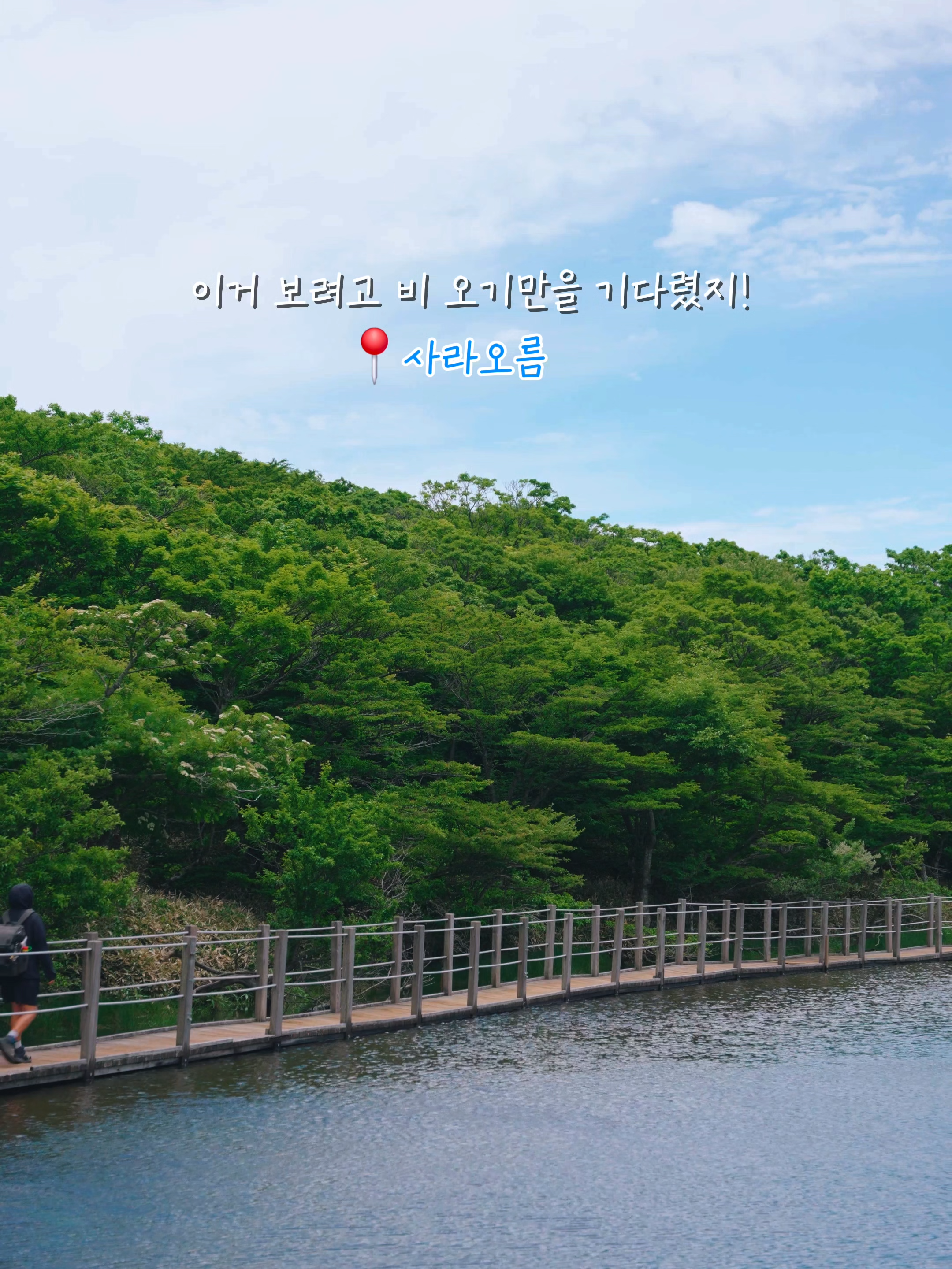 @제주도