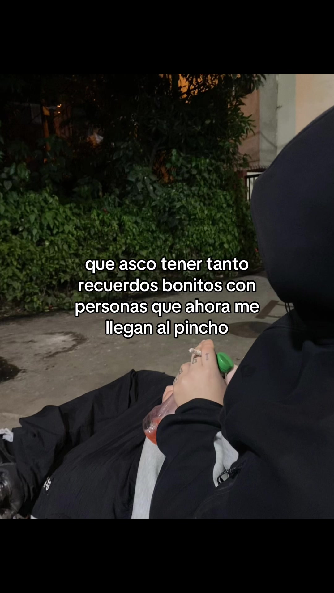 @rodrigopichulon