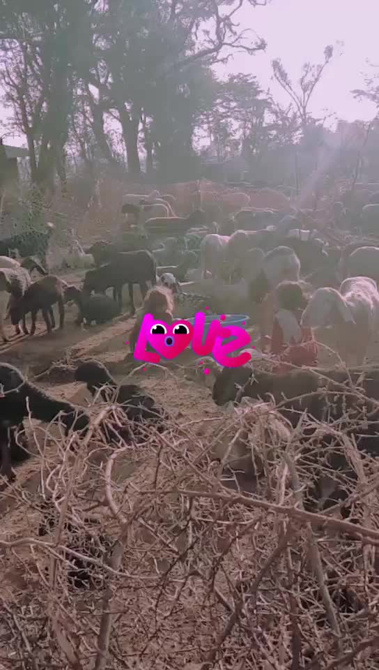 @user3594435250551