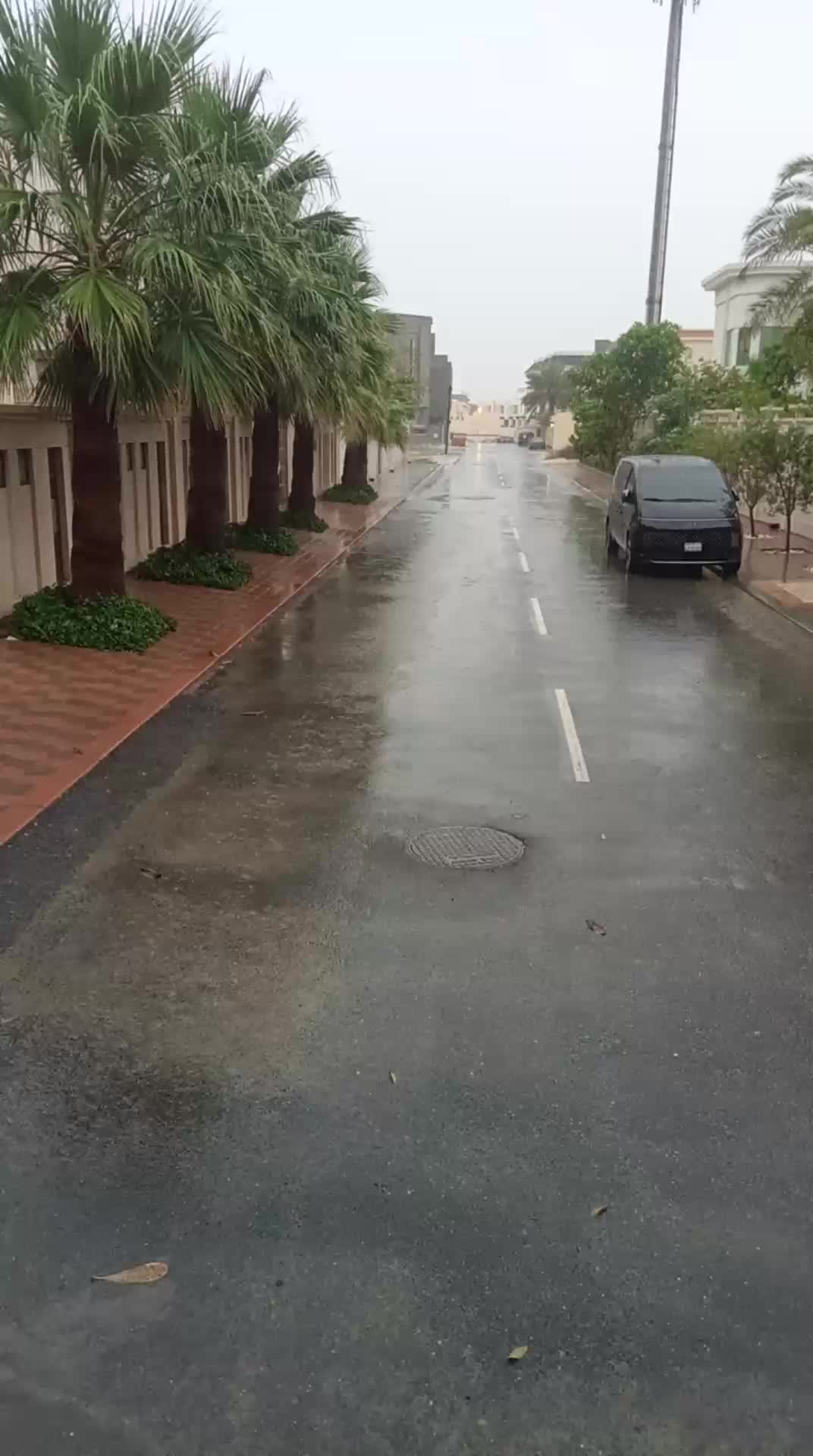 @rehanshakoor925