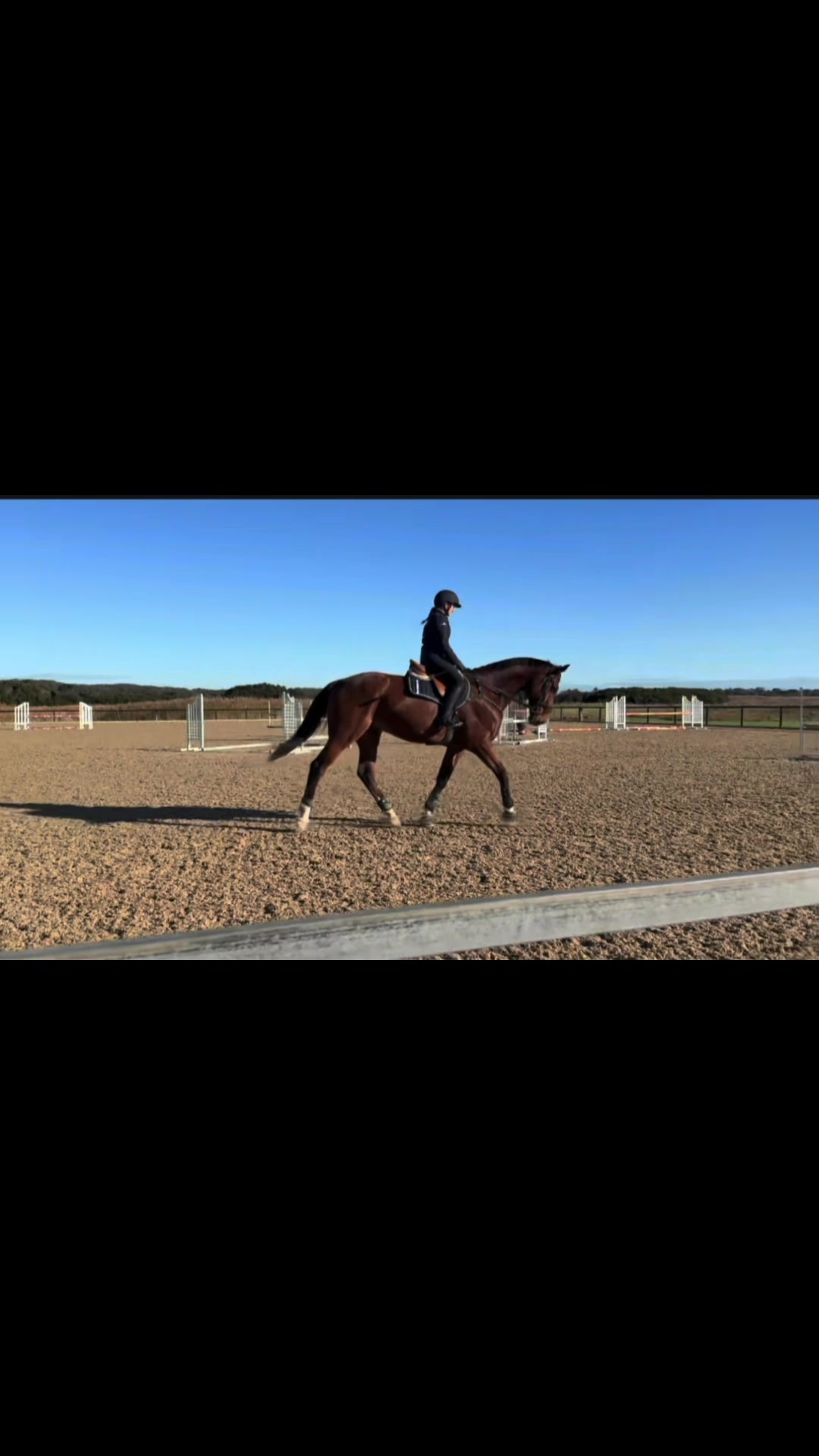 @Imi_.equestrian