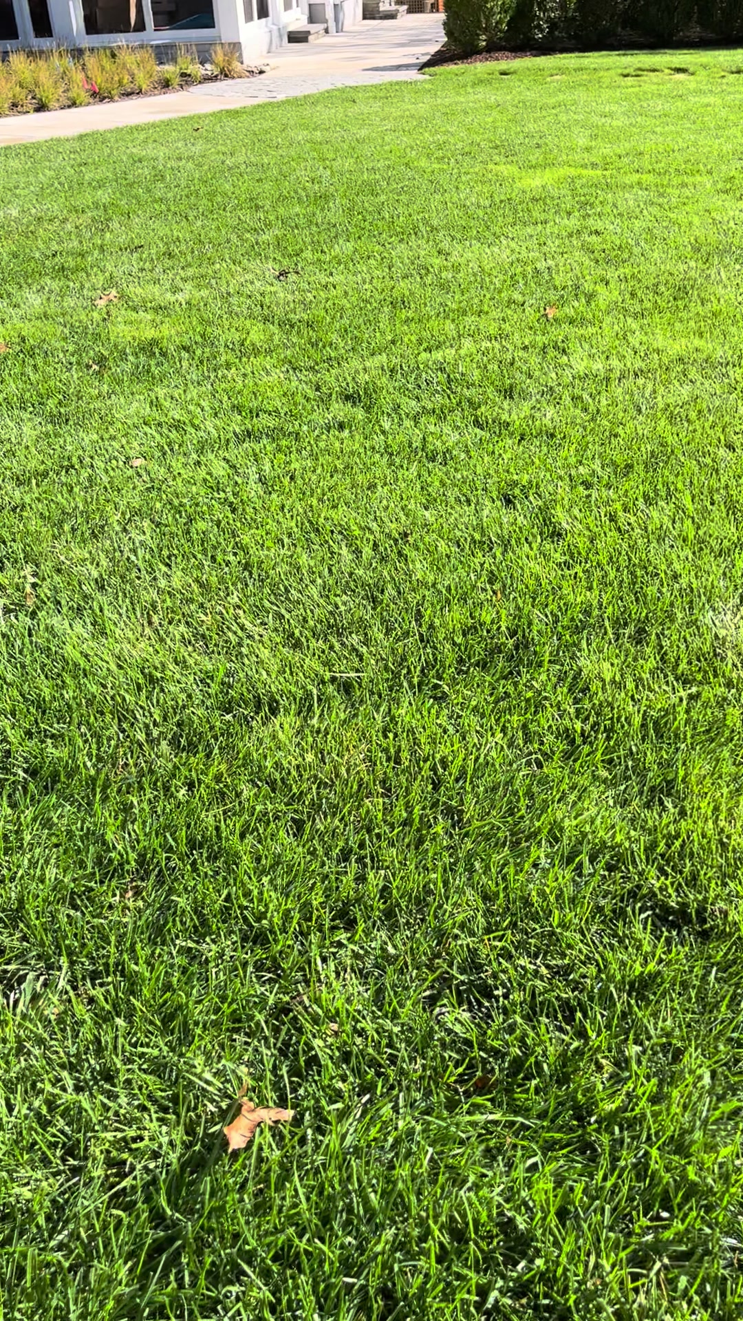 @Custom Landscaping NJ