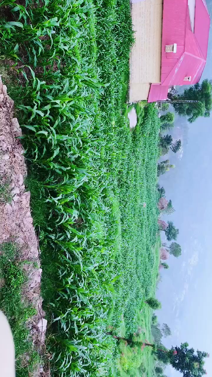 @بابرحان 2363699998🇵🇰