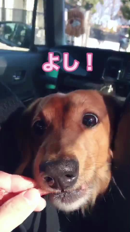 @平尾もとな