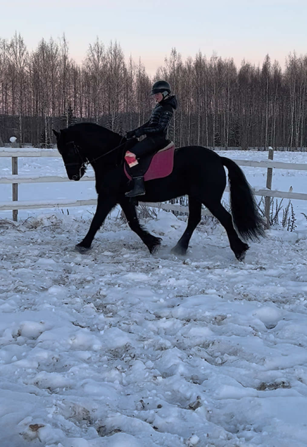 @Equestrian Veera🏇