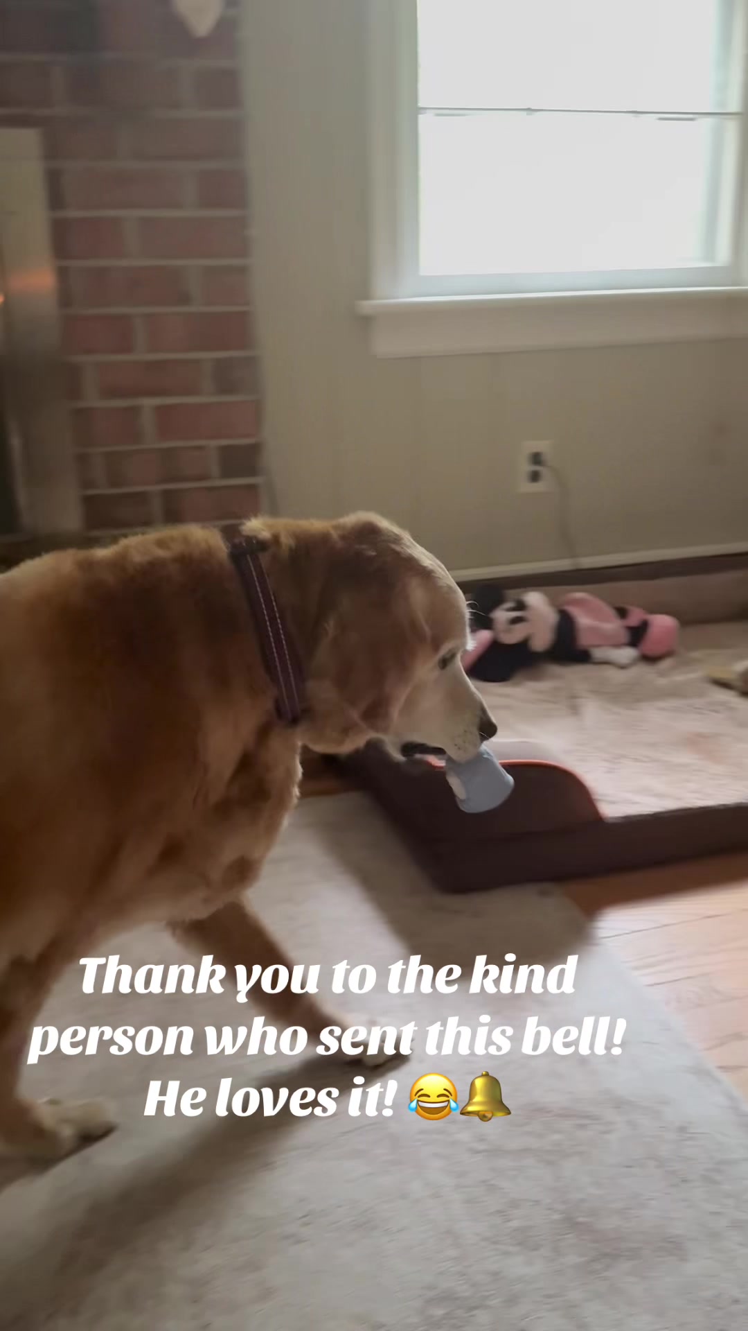 @lifewithduke2025
