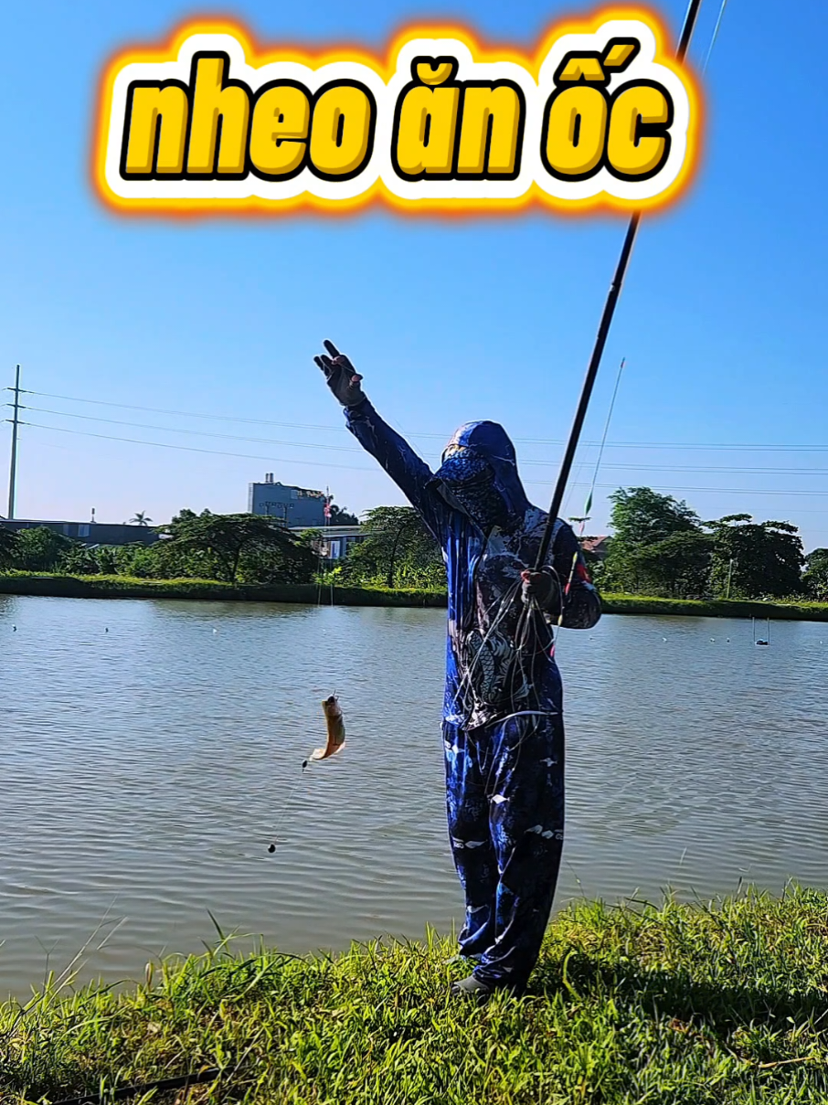 @Dũng Nguyễn Fishing