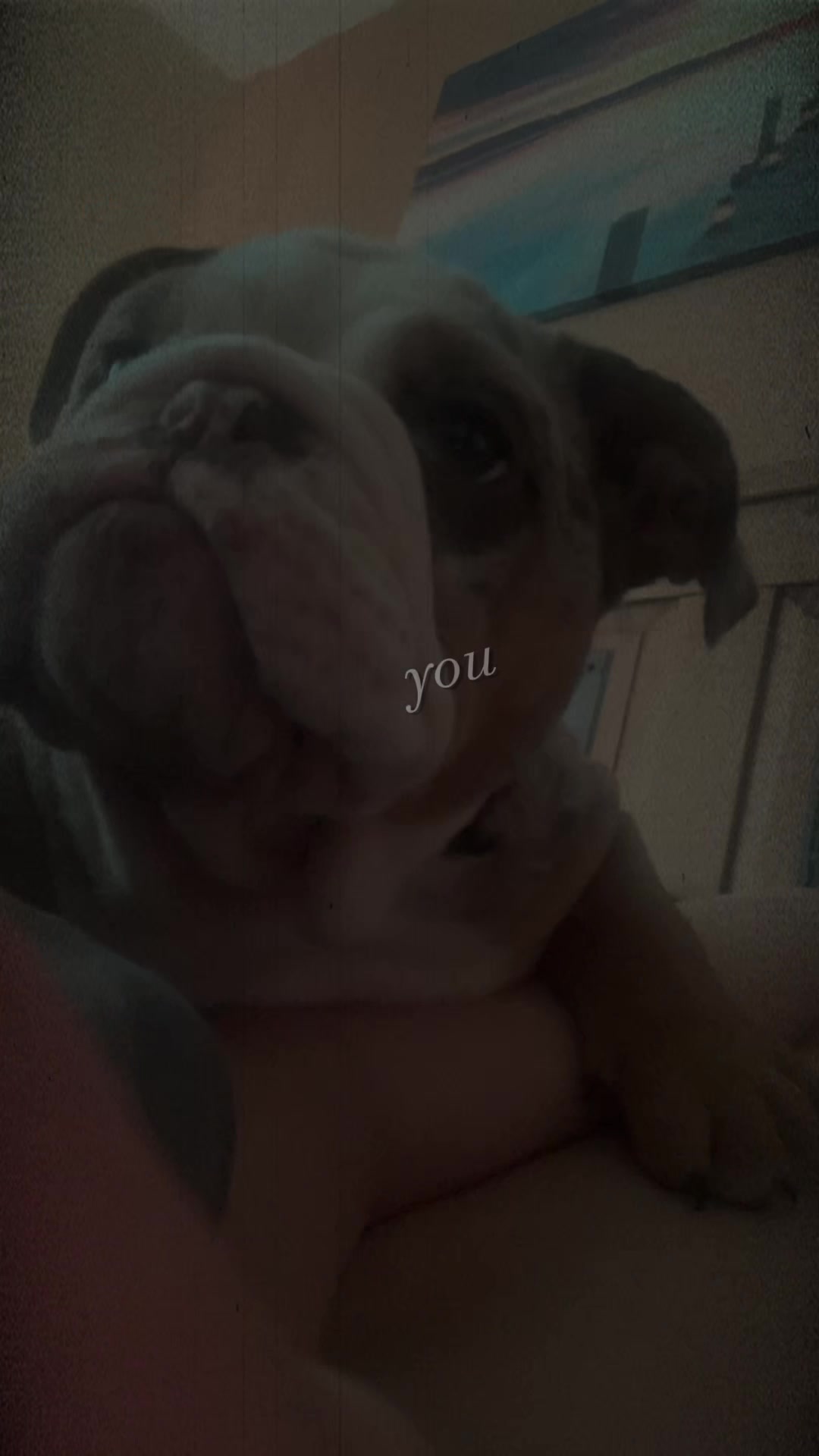 @🖕😐✌️