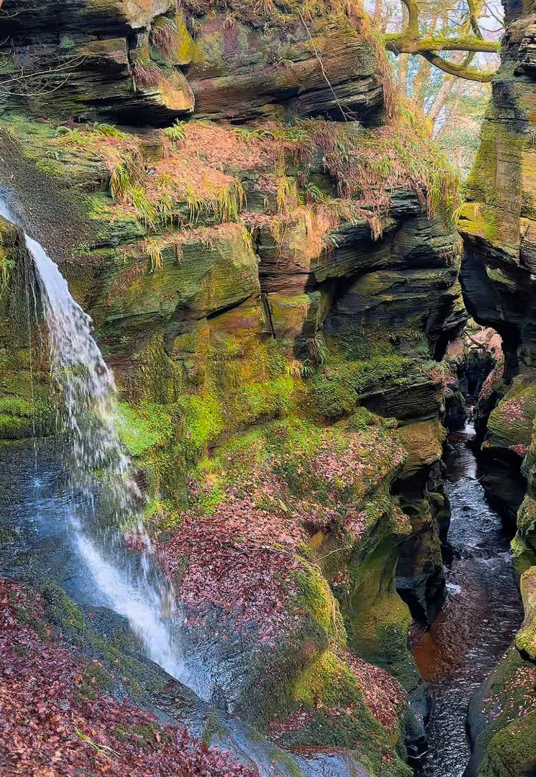 @thebeautyofscotland17