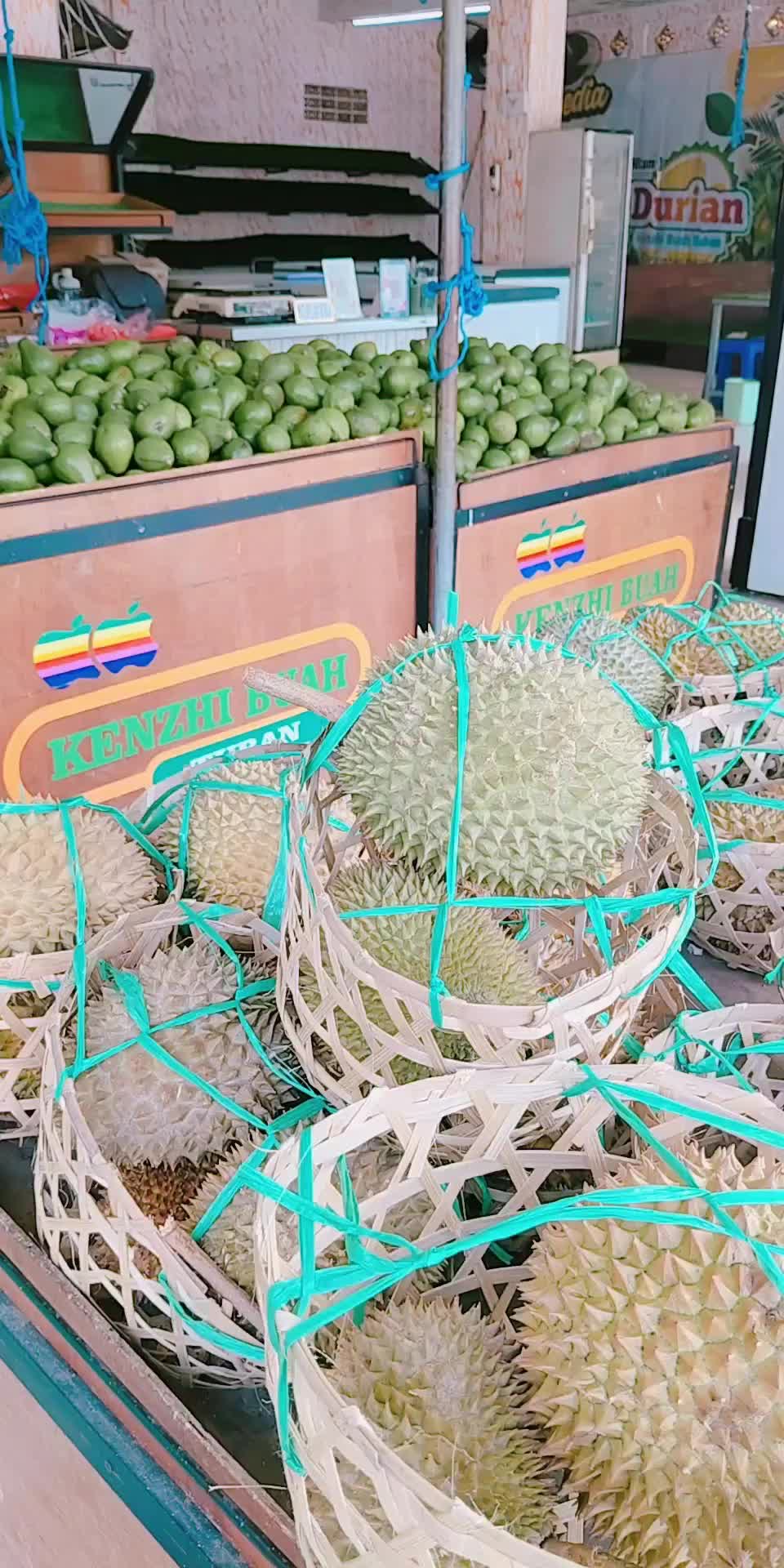@Kenzhi Durian Tuban