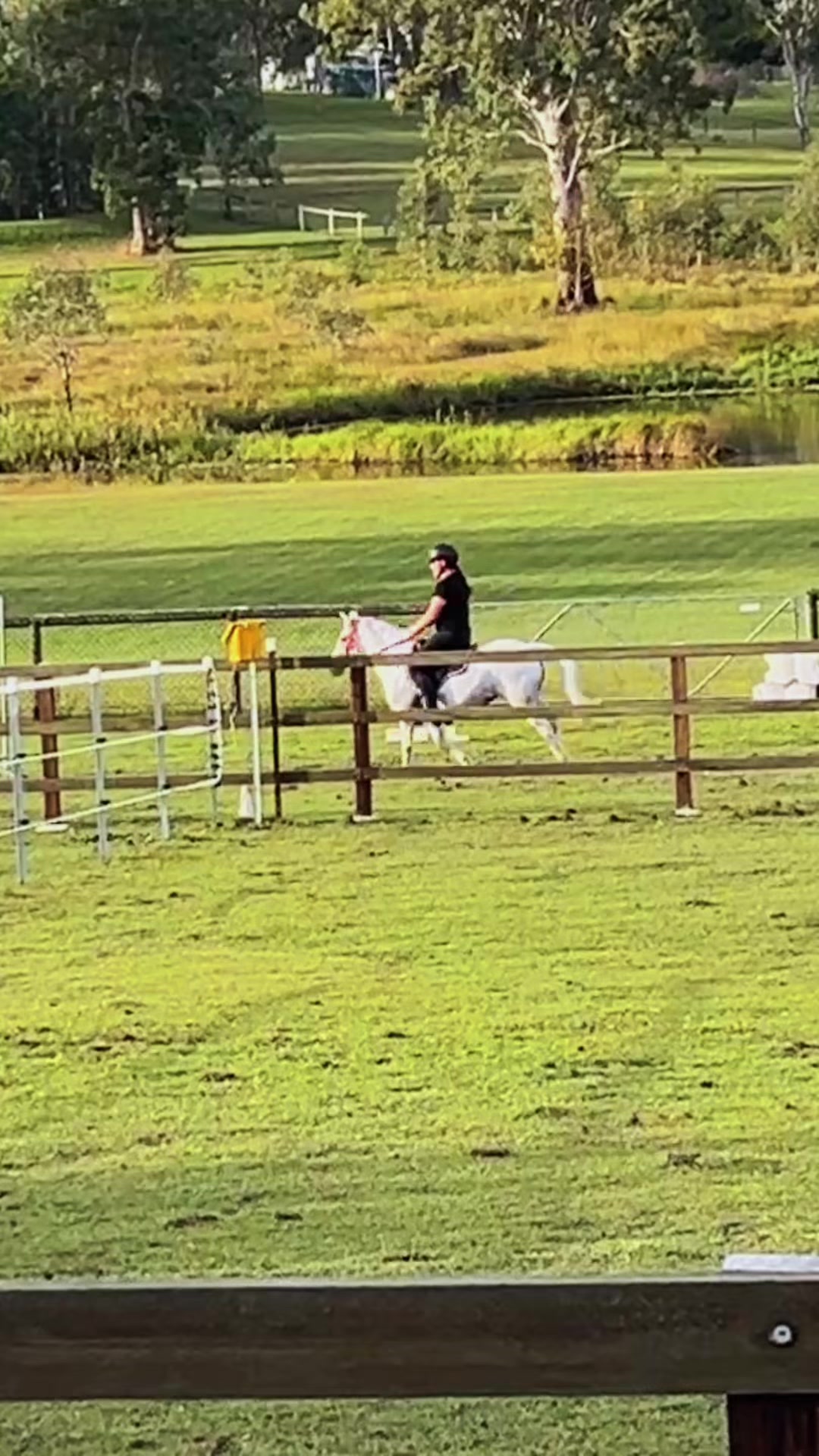 @Lola_is_my_pony