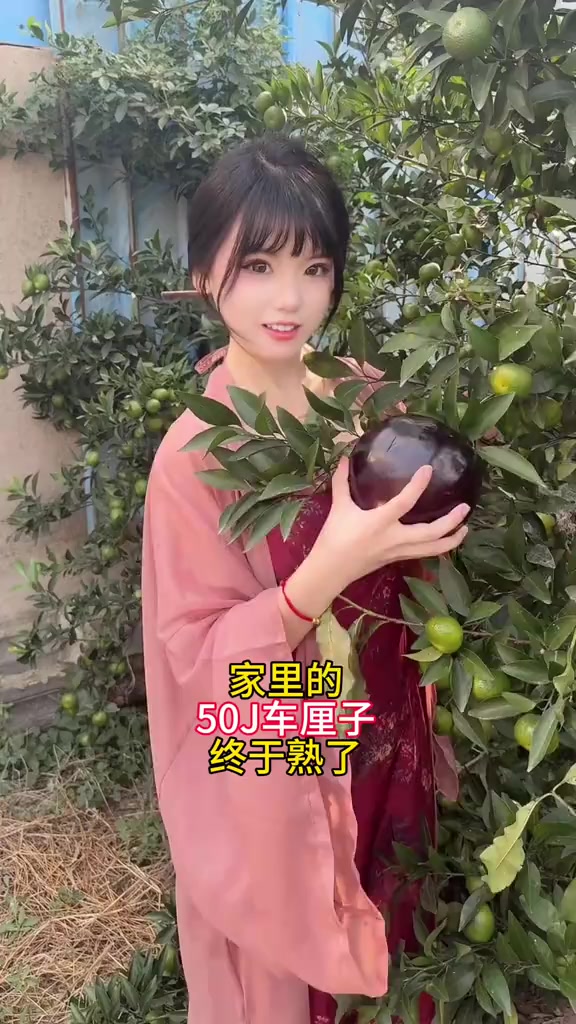 @干饭小困困
