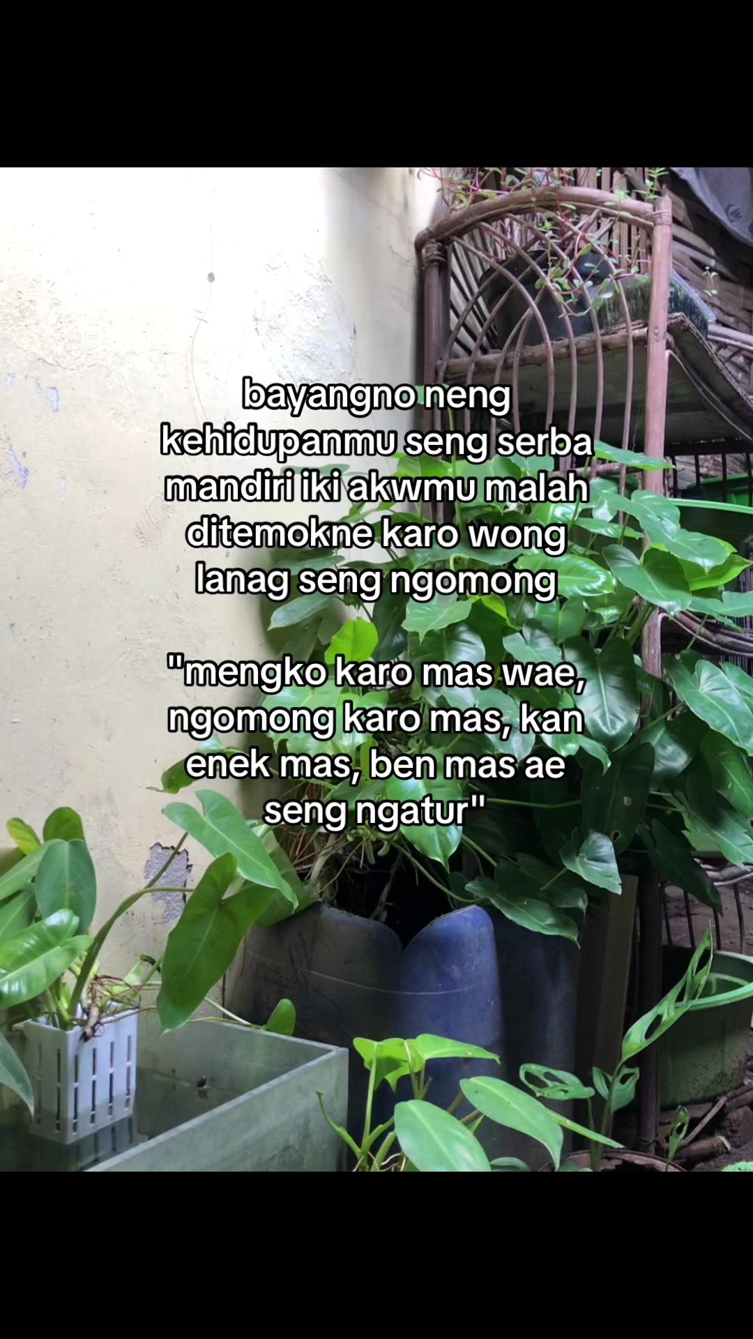 @HoohTenan