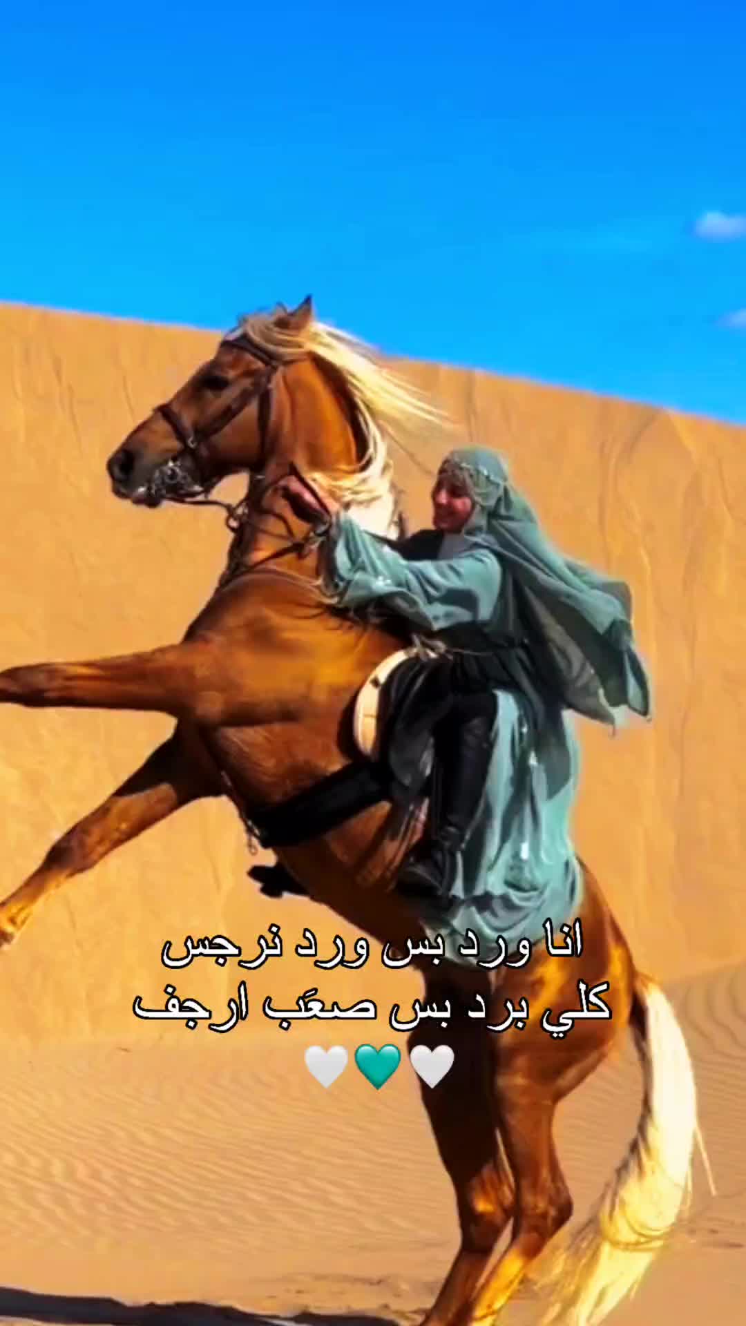 @☁️🤍Marwa.queen👑