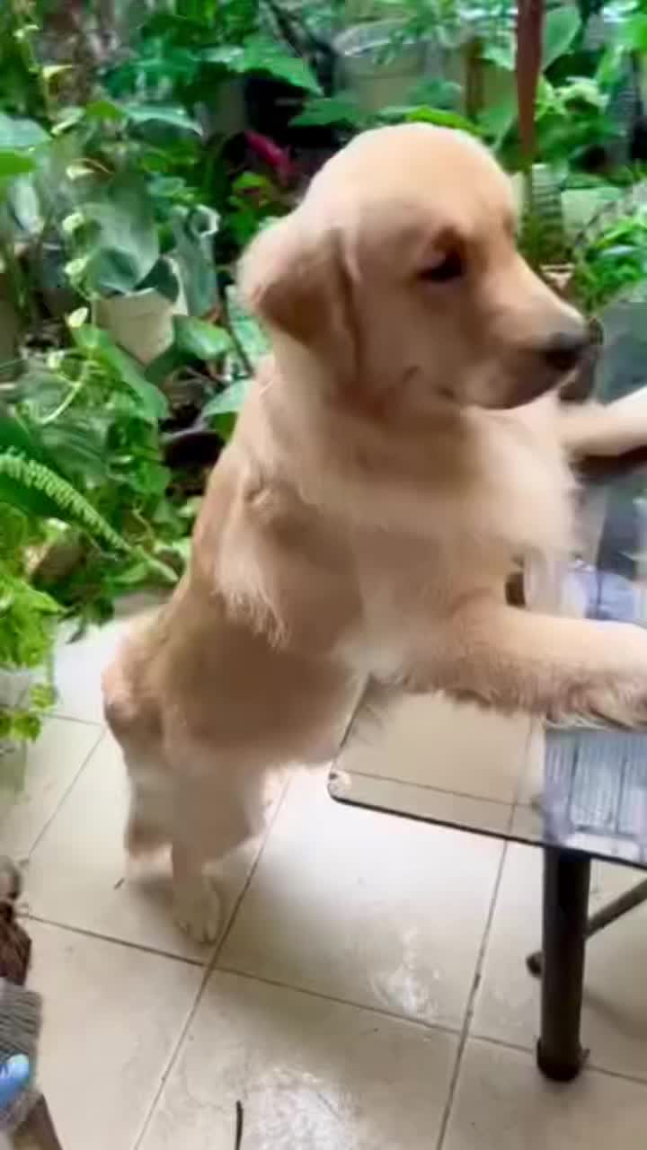 @Finn & Kai💜