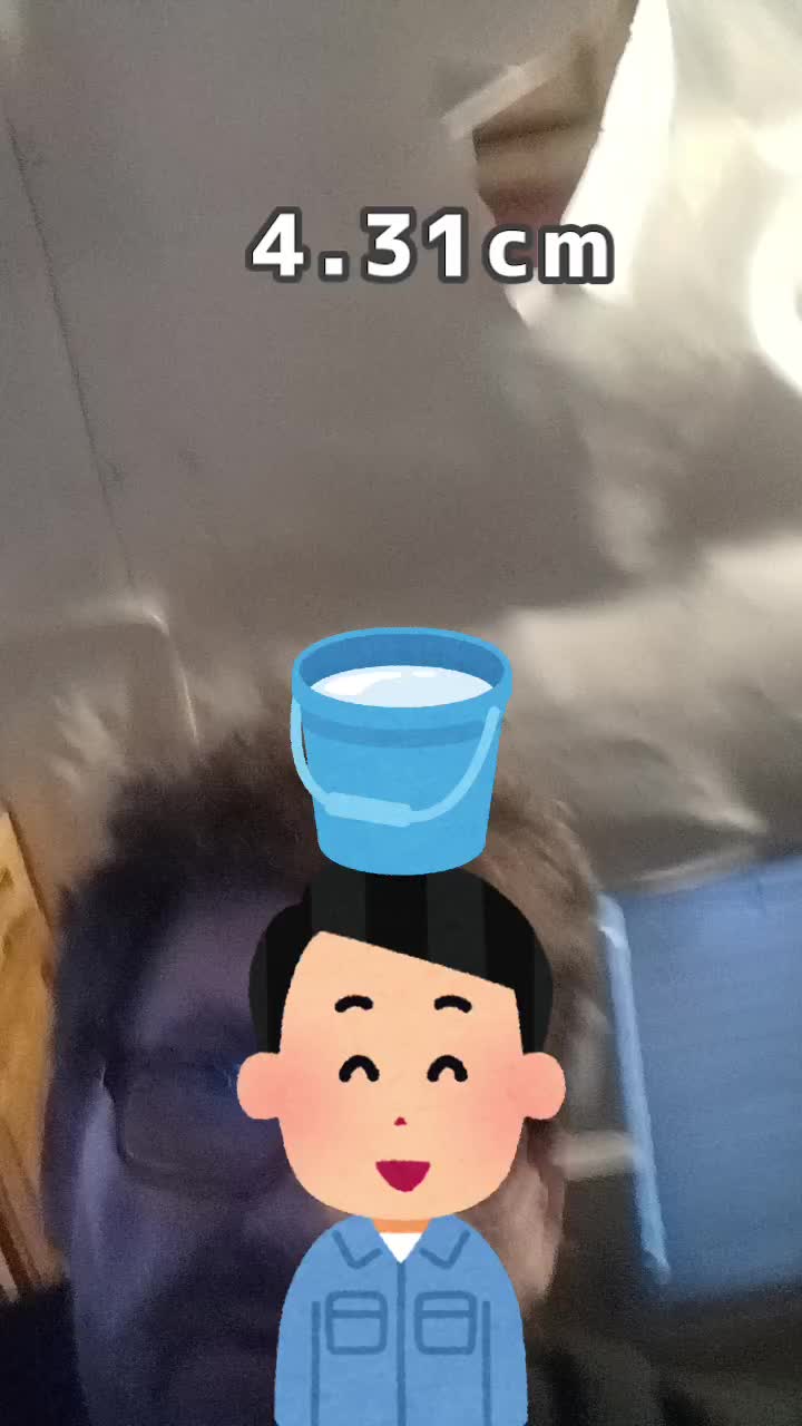 @randyholcomb791