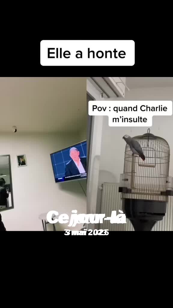@Lamourdemondiego