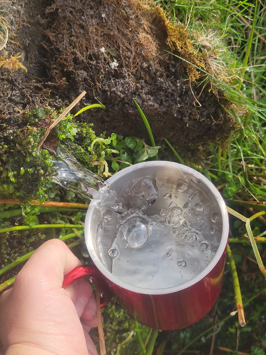 @Kader Folles - Foraging Nomad