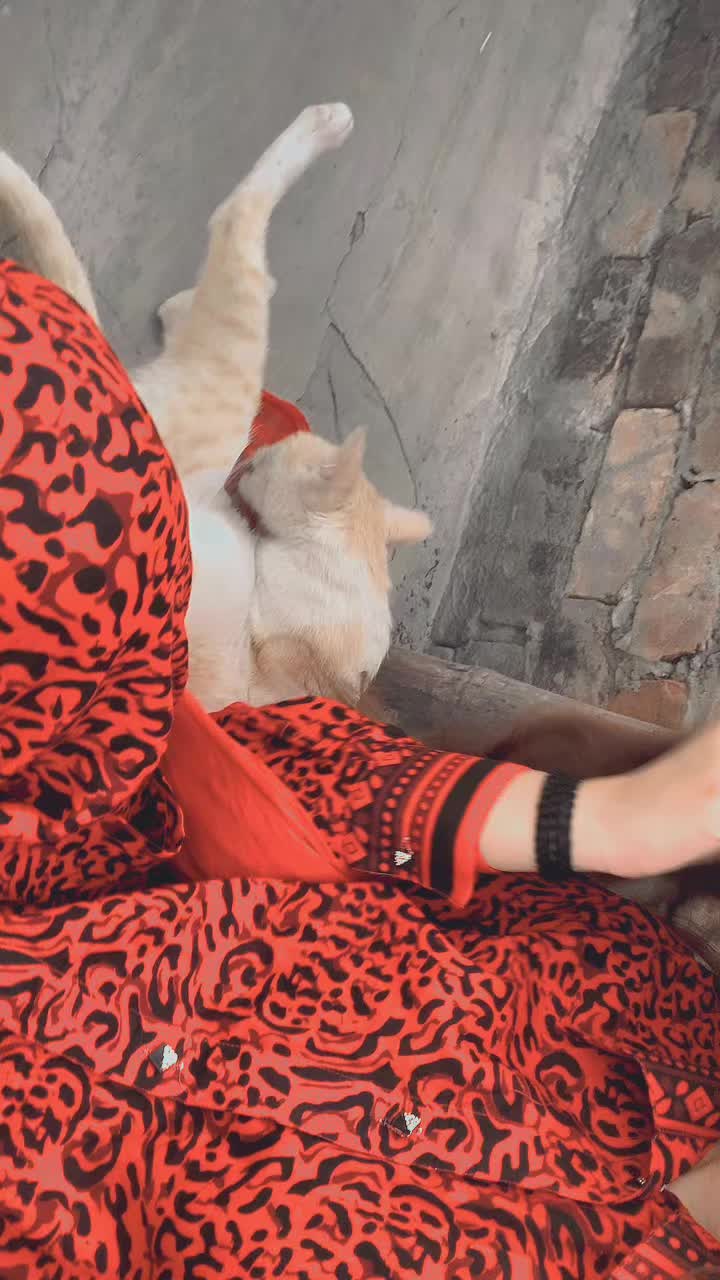 @Sargodha ki jaan🦾