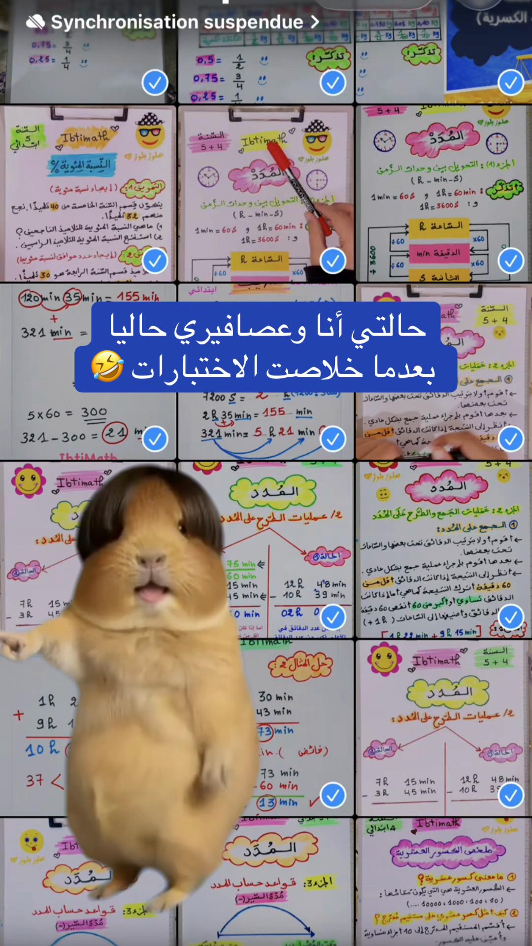 @IbtiMath