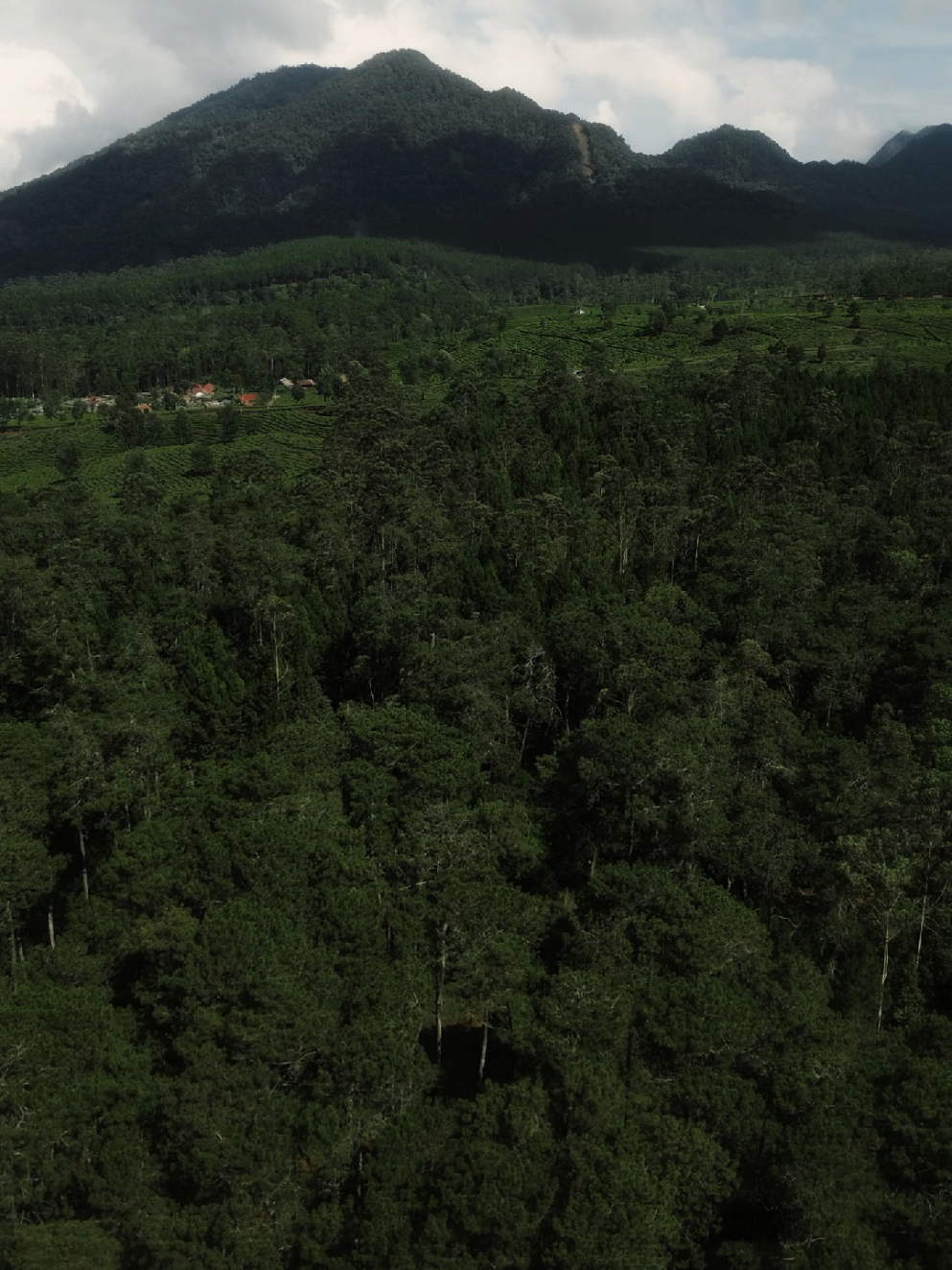 @terbang santai