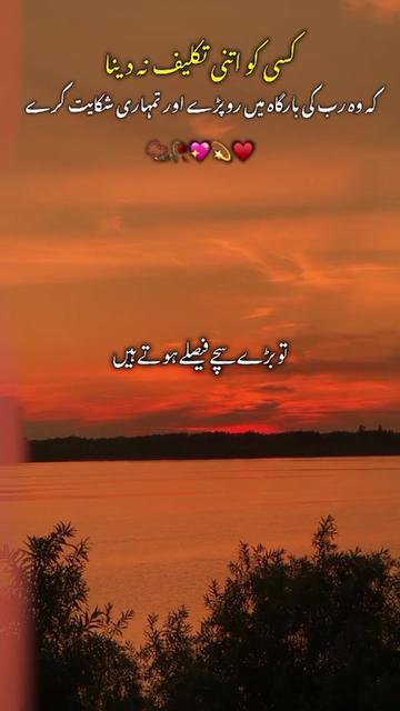 @kamran