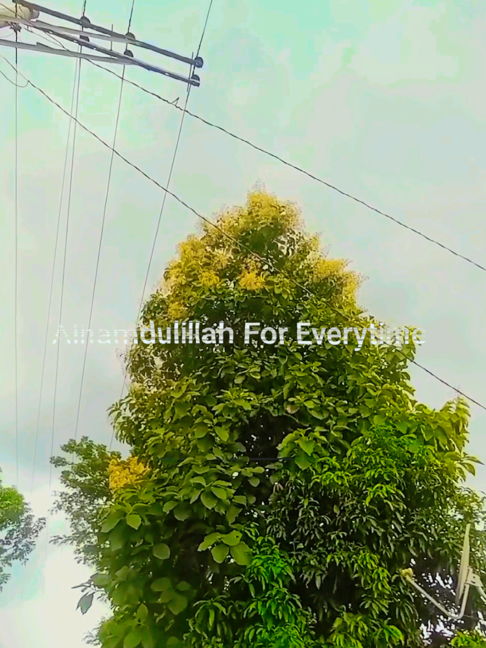 @Mohammed Parvez