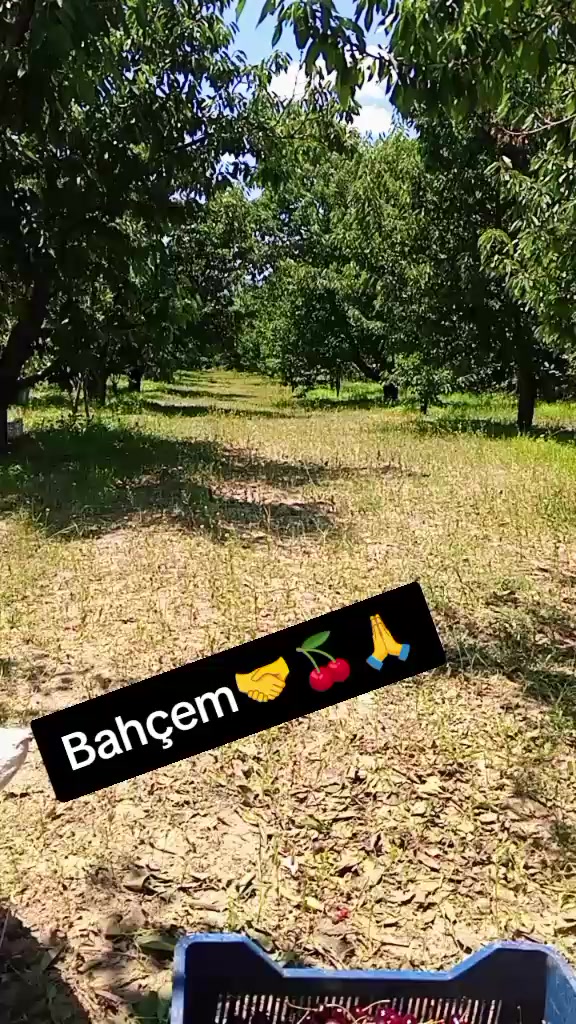@İlkay baran