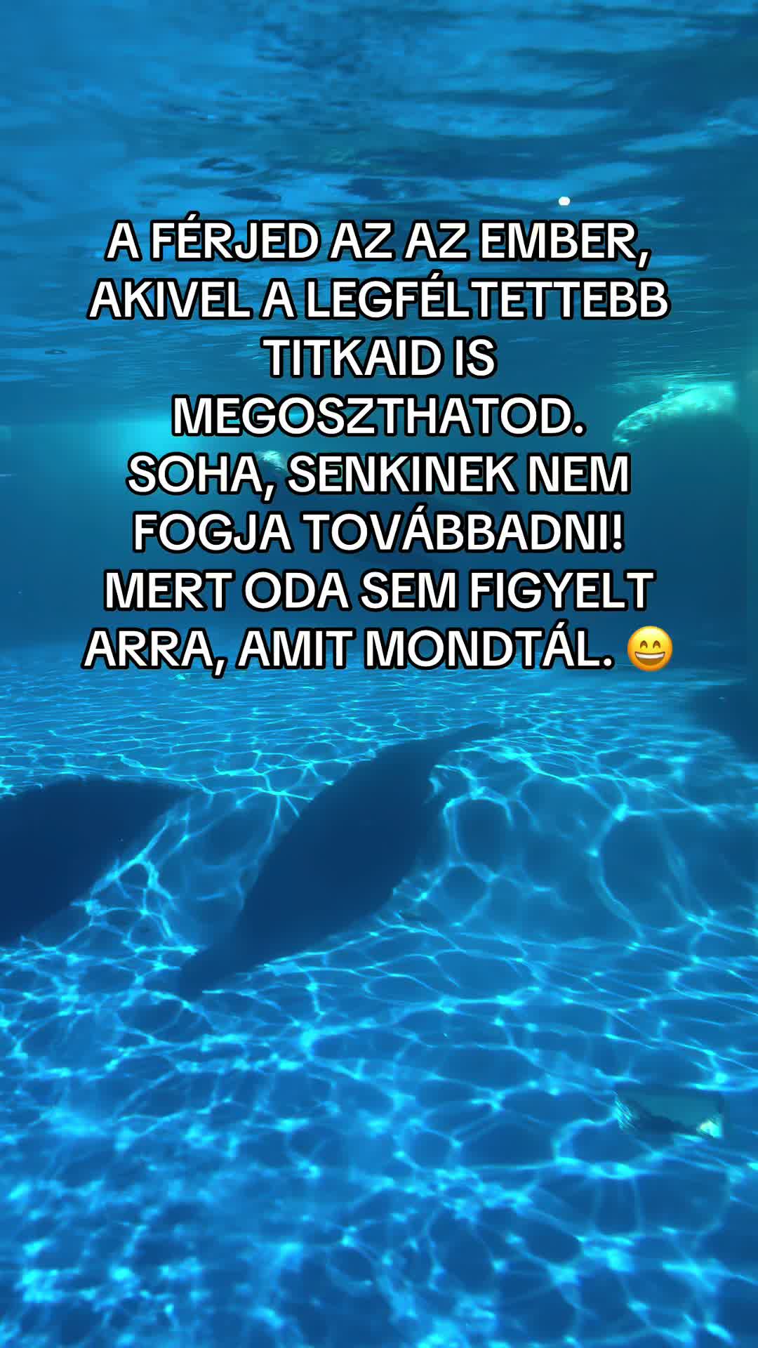 @Zsanzy Taki
