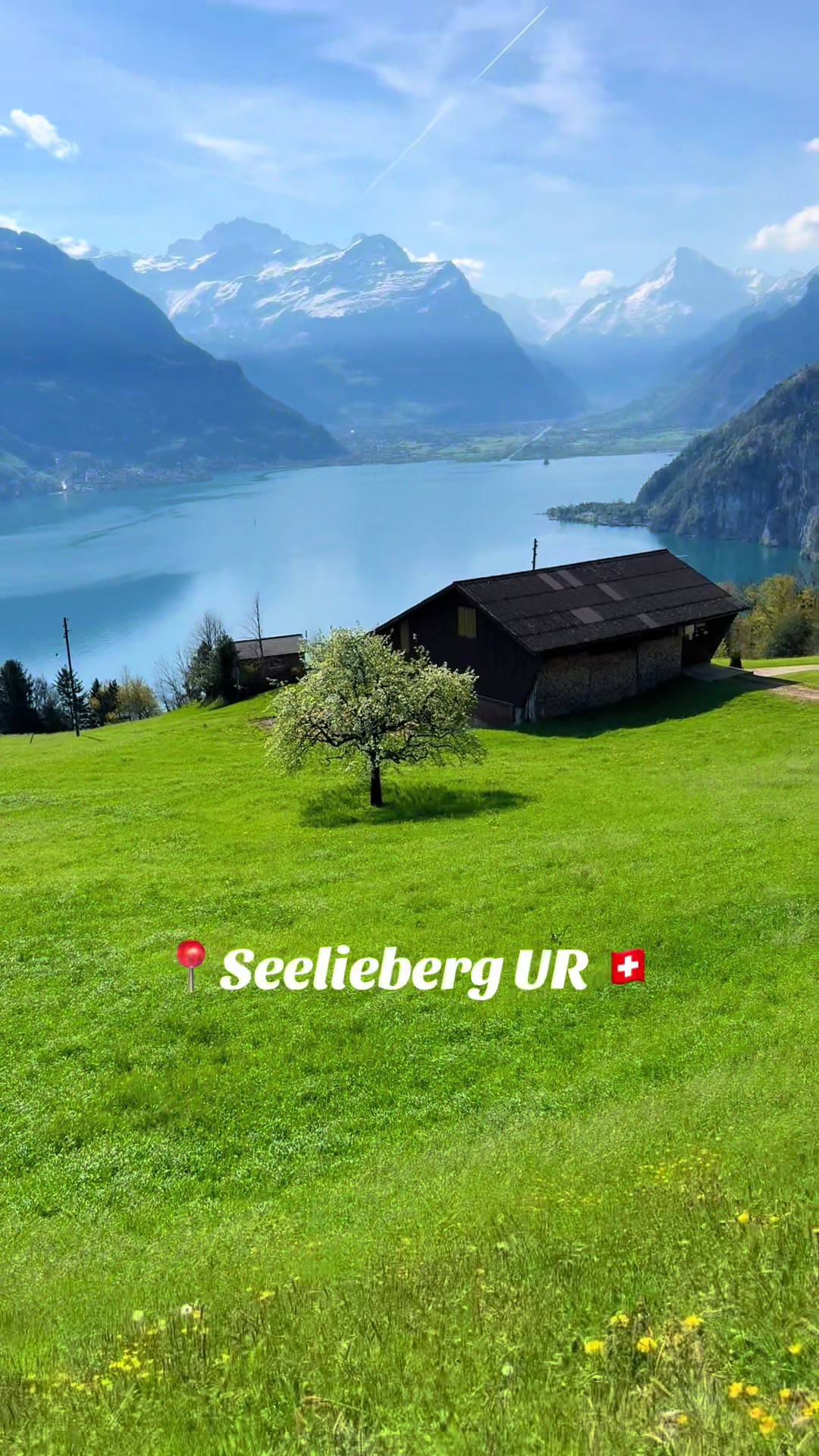 @swiss_alps
